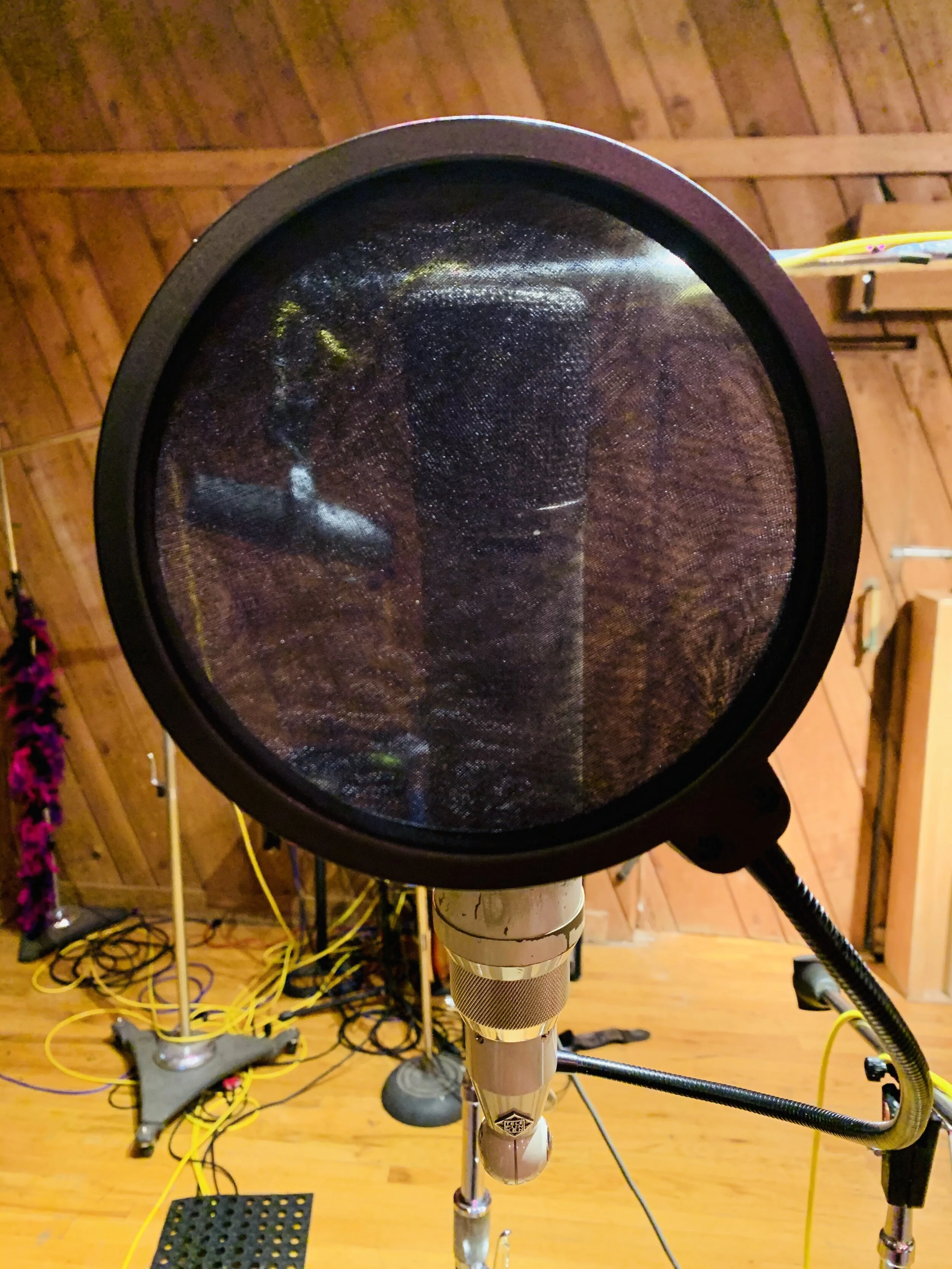 SELFIE THE MUSICAL the Recording