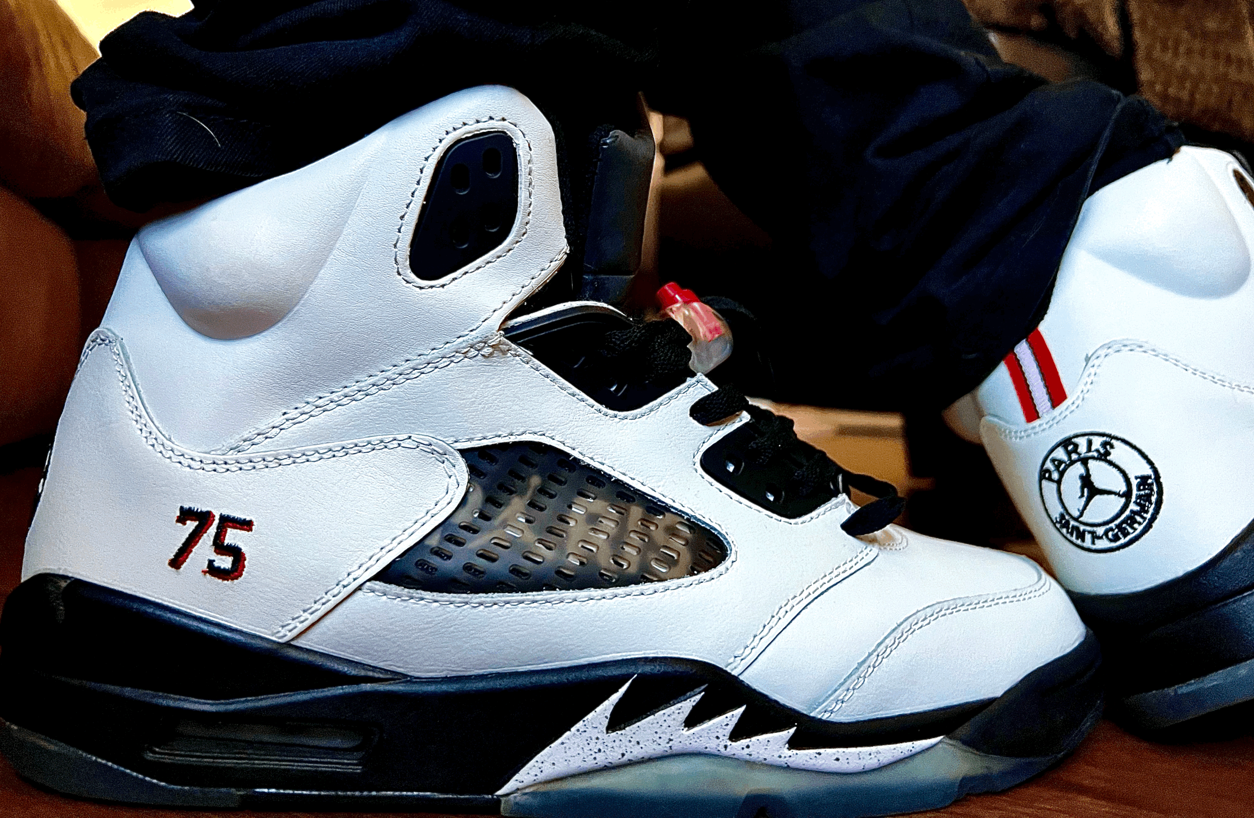 Air Jordan 5 Retro "PSG Friends and Family"