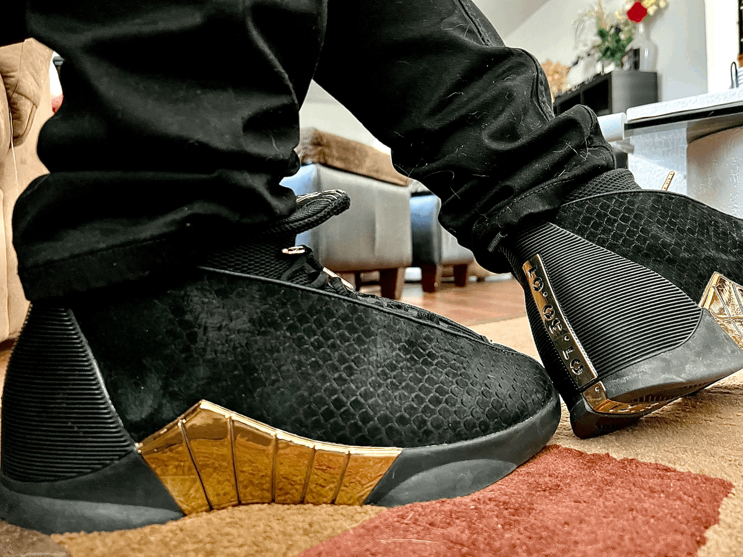 Air Jordan 15 Retro "Dorenbecher"