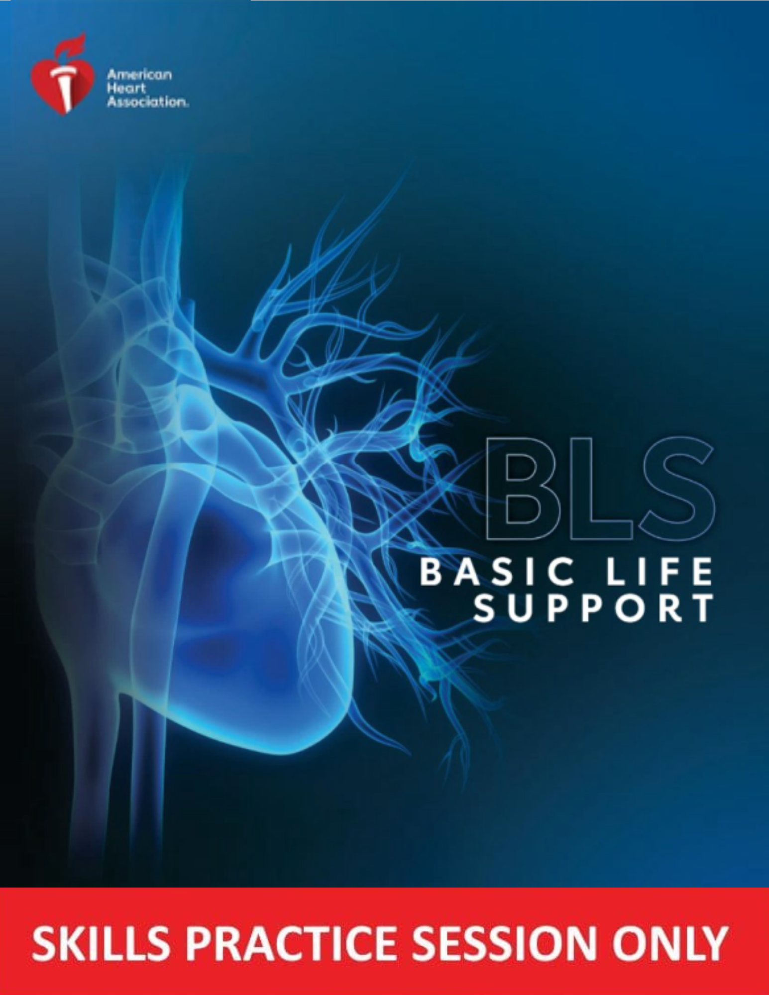 BLS Provider Skills Session (AHA)