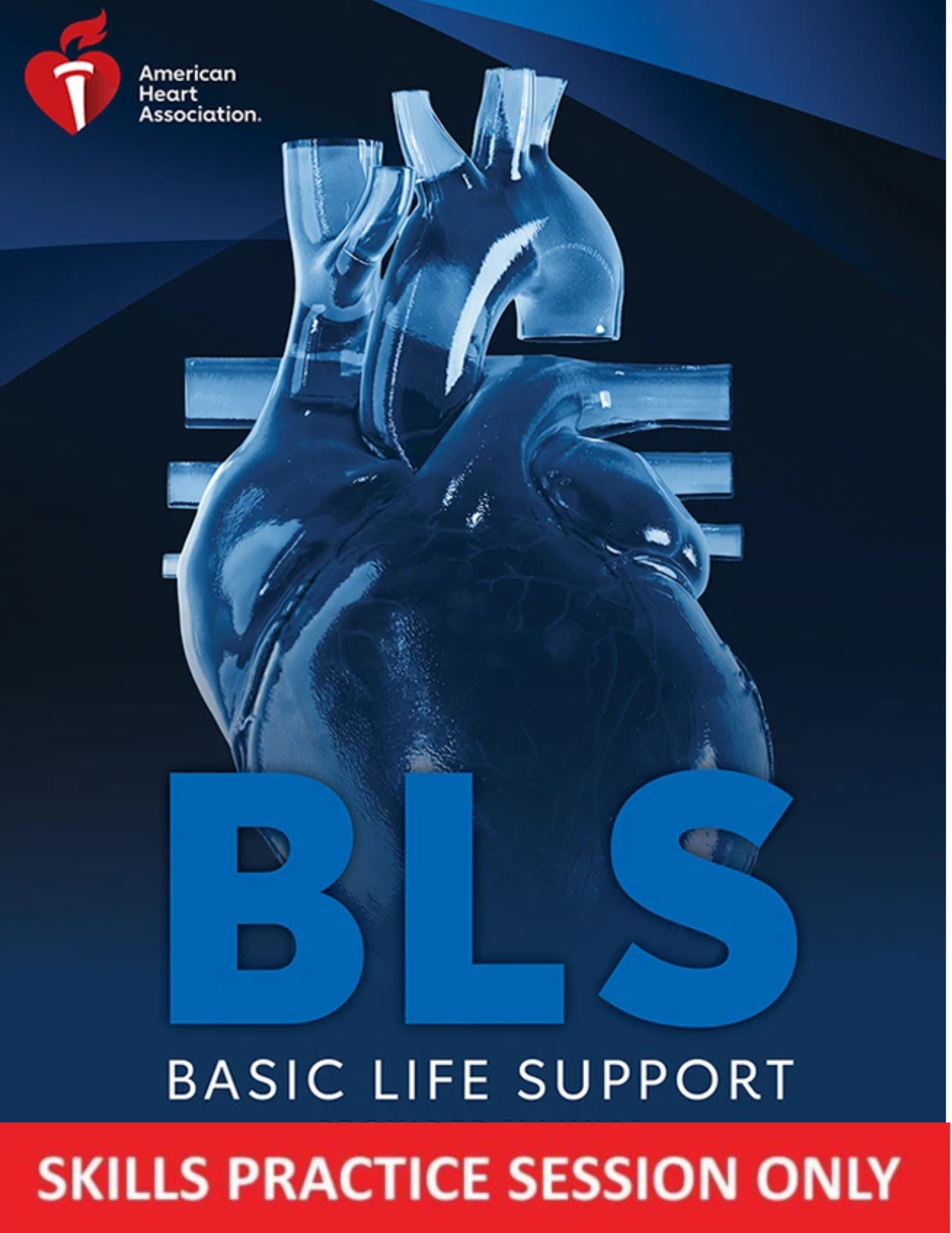 BLS Provider CPR (Skills ONLY) American Heart Association