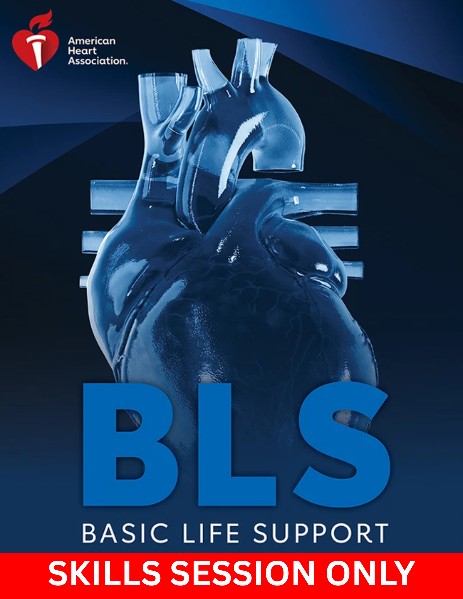 PRIVATE ONE-ON-ONE: BLS Provider CPR (Skills ONLY) American Heart Association - Tuesday, November 25th