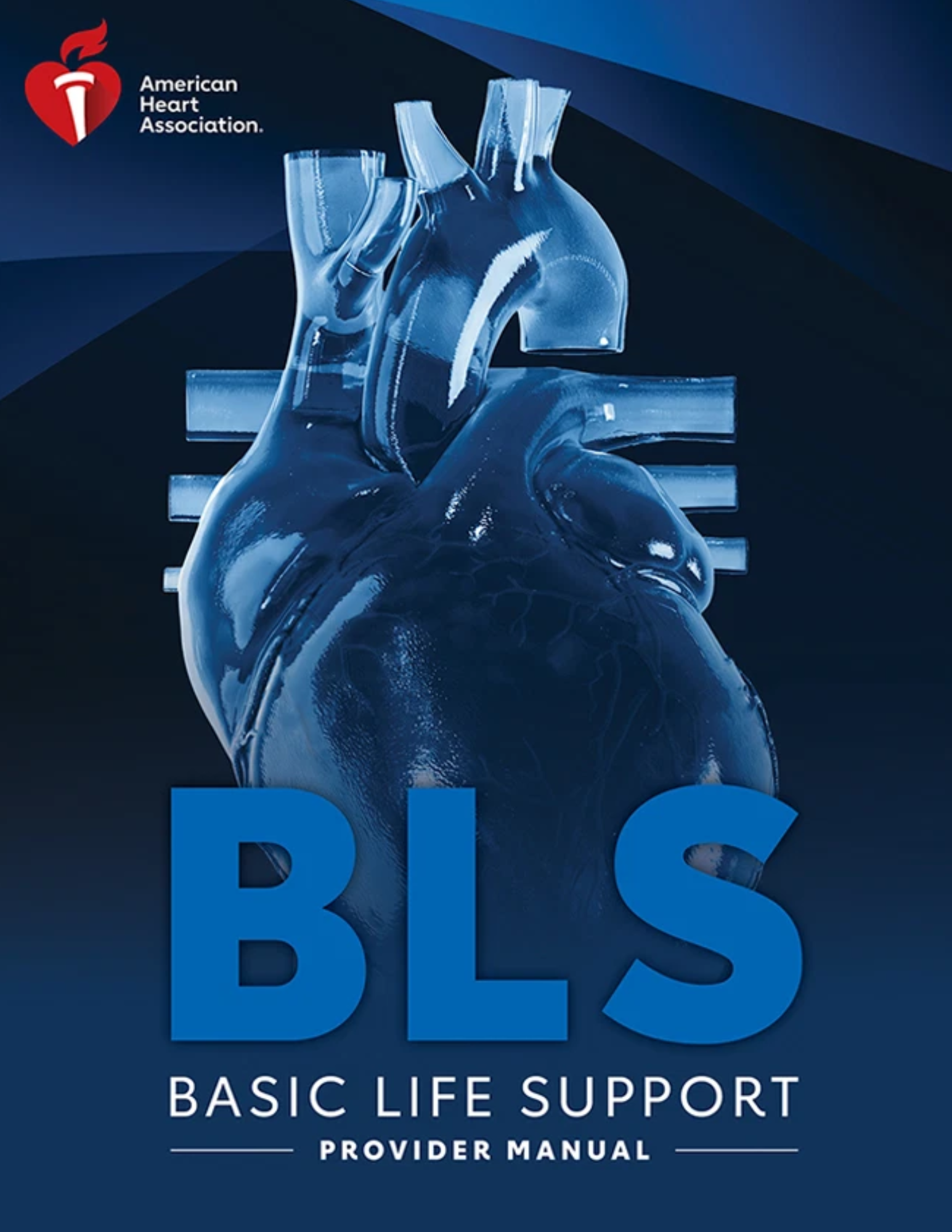 BLS Provider CPR (Initial/Renewal) – American Heart Association