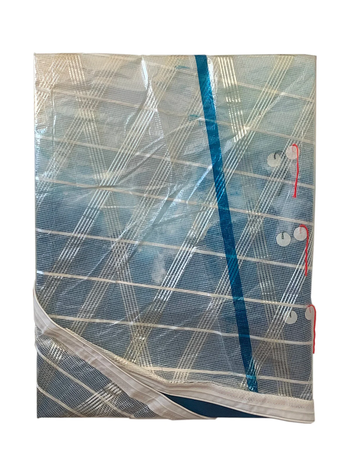 Pryor_Vice Tease and Denial .jpg