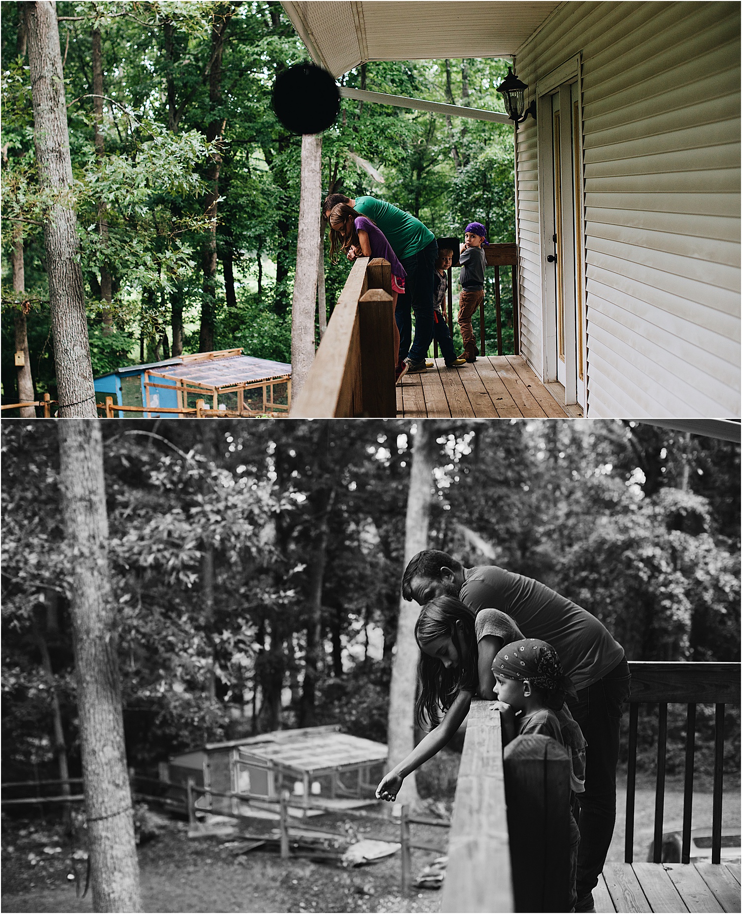 A family's Asheville Homestead