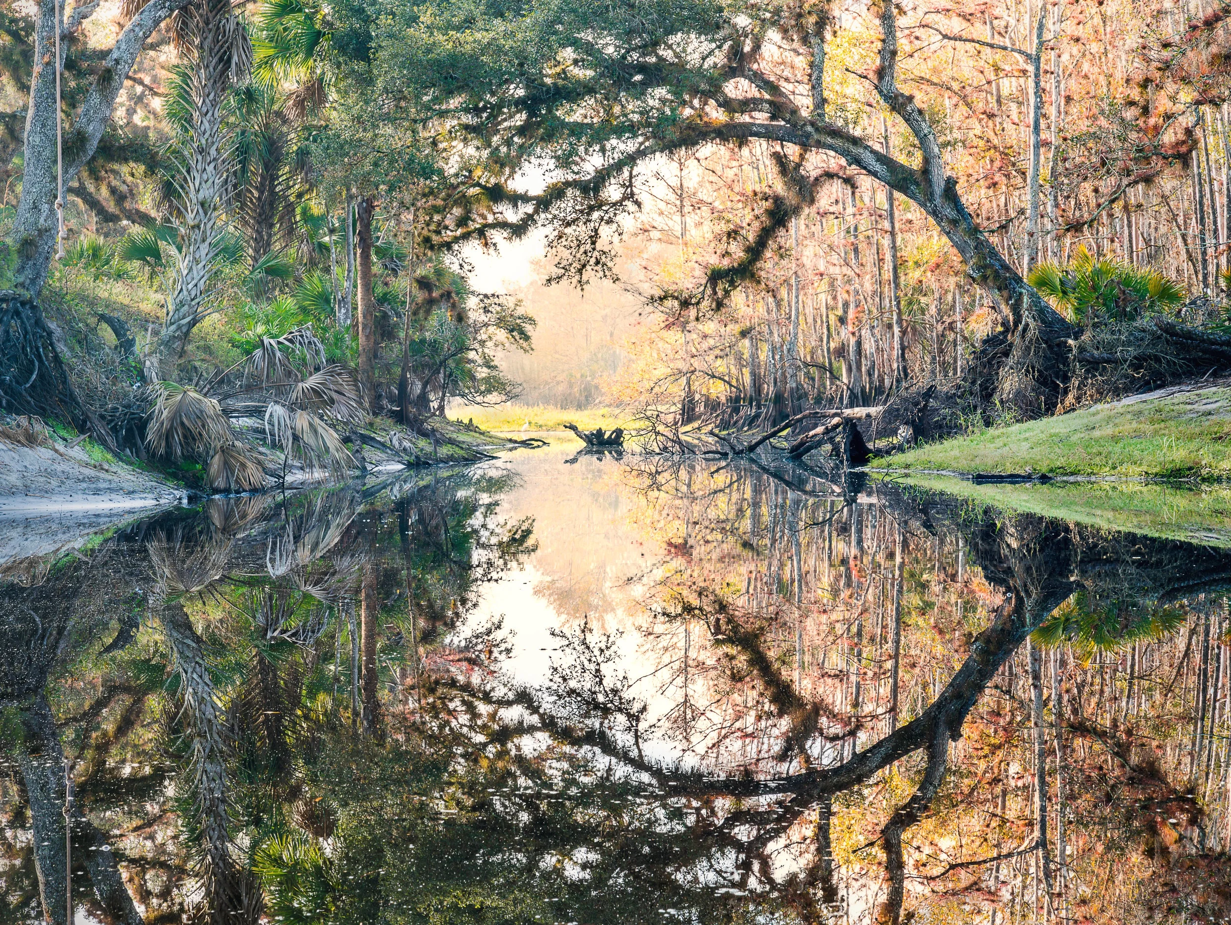 Tranquility on the Creek