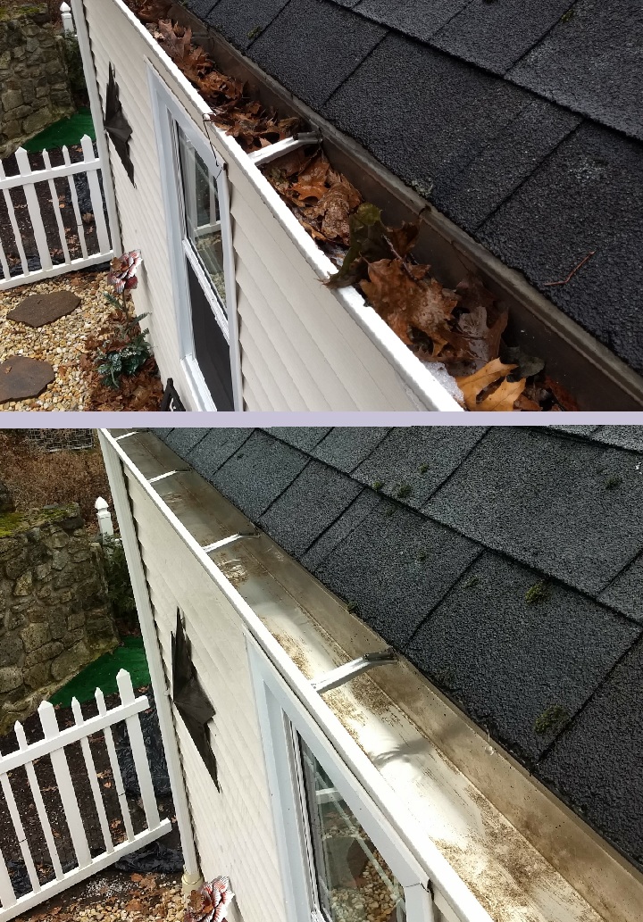 Gutter Cleaning in Mill Creek WA