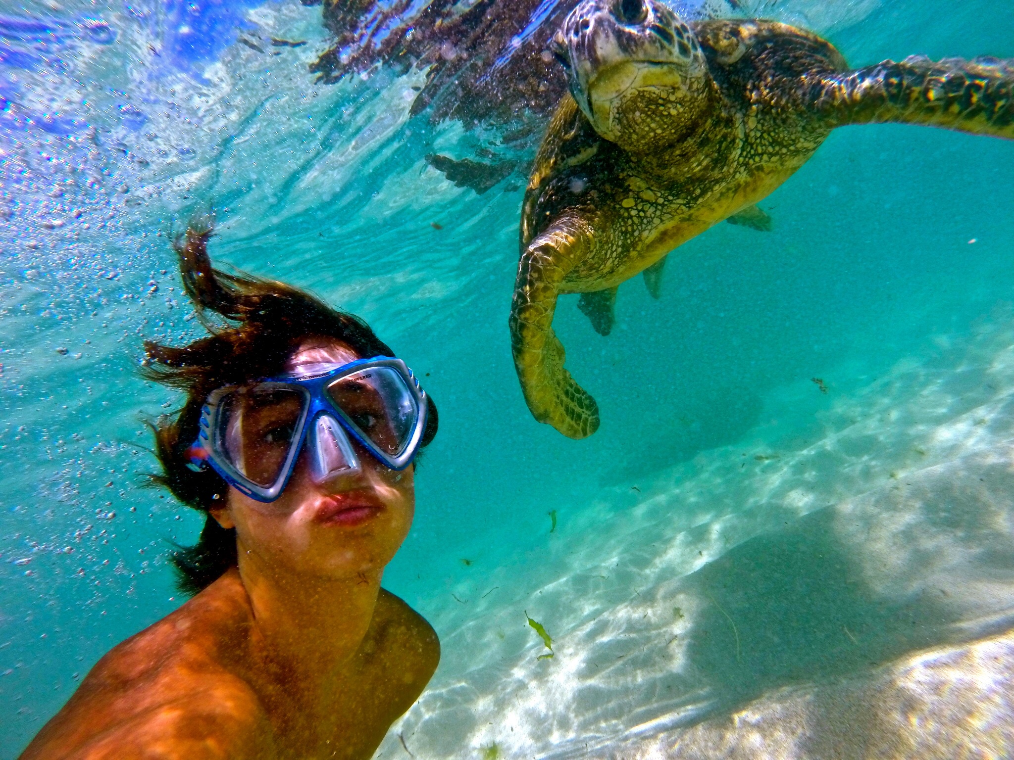 Snorkel Tour North Shore