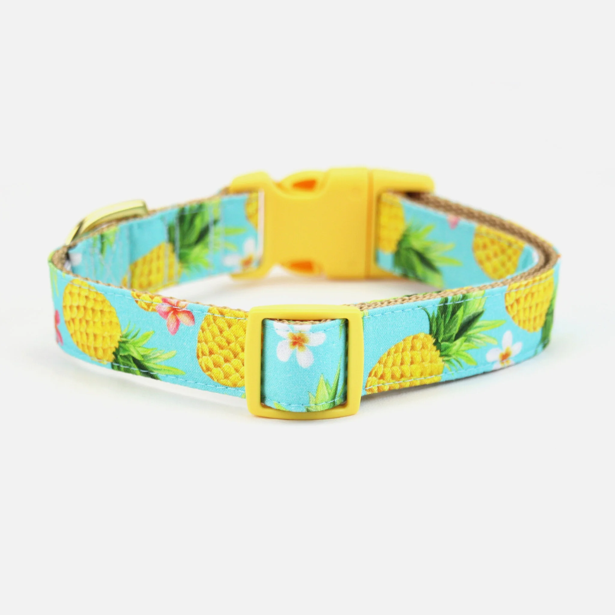 pineapple dog collar