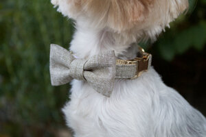 GiGi Bow Tie Dog Collar And Leash Set