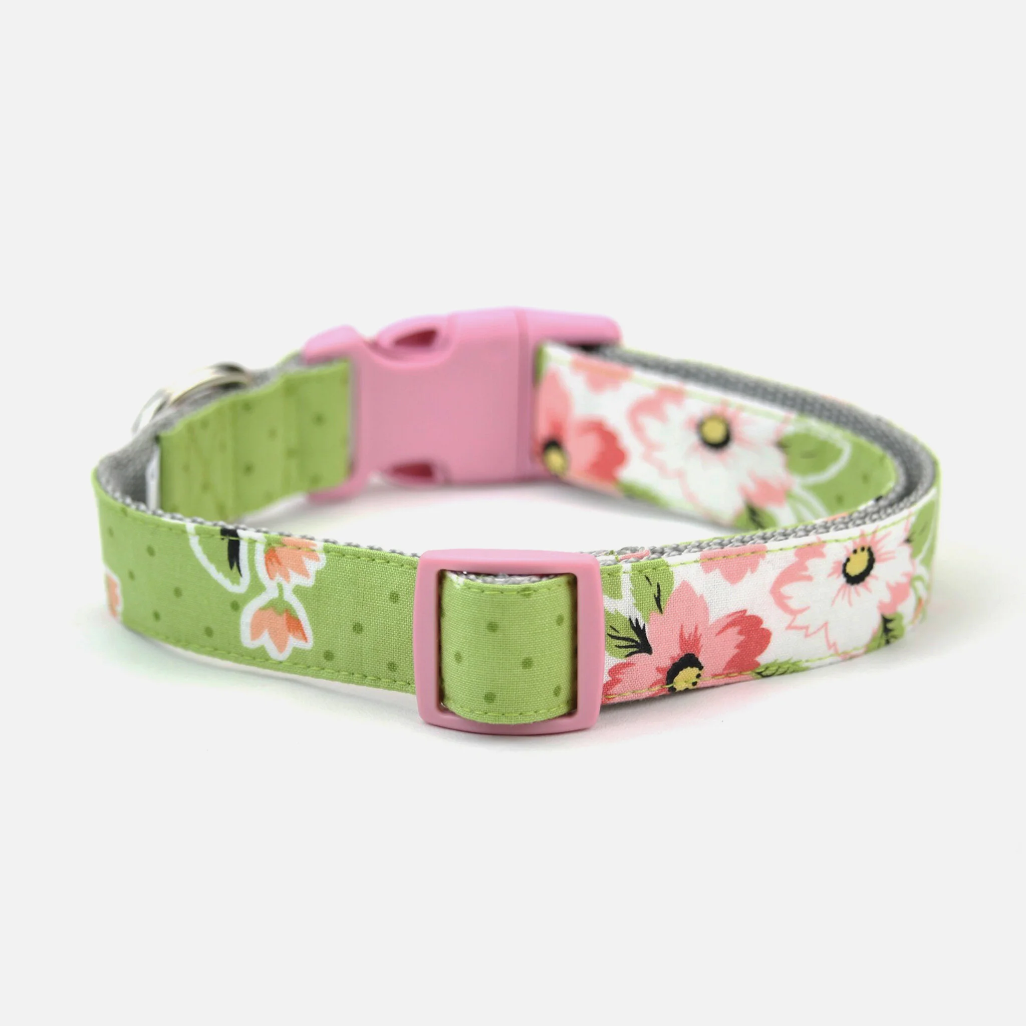 clearance dog collars