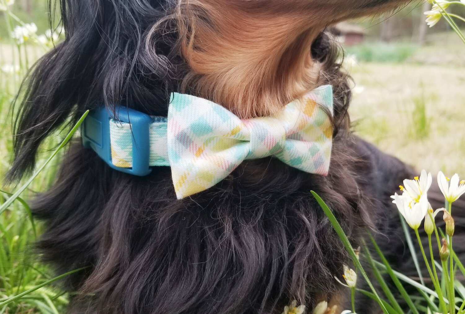 Trots Kudde Charlotte Bronte Pastel Plaid Dog Bow Tie Collar | The Cotton Candy by Dusidog
