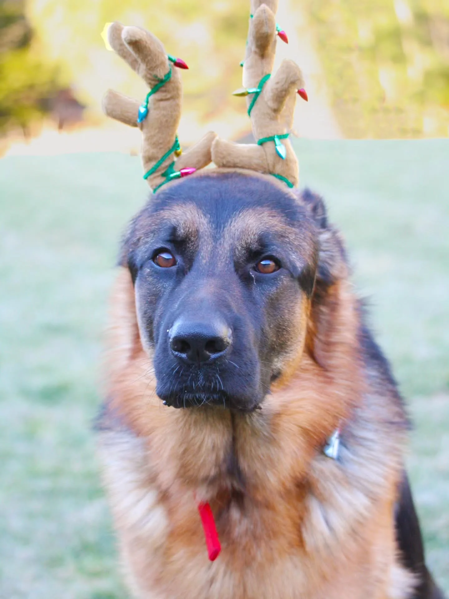 As the year is coming to a close, we would like to take a moment to thank you for being here. 🙏Your love and support mean a lot to us, and we wouldn't have been here without you. You have allowed us to do what we love everyday, and i'm forever grate