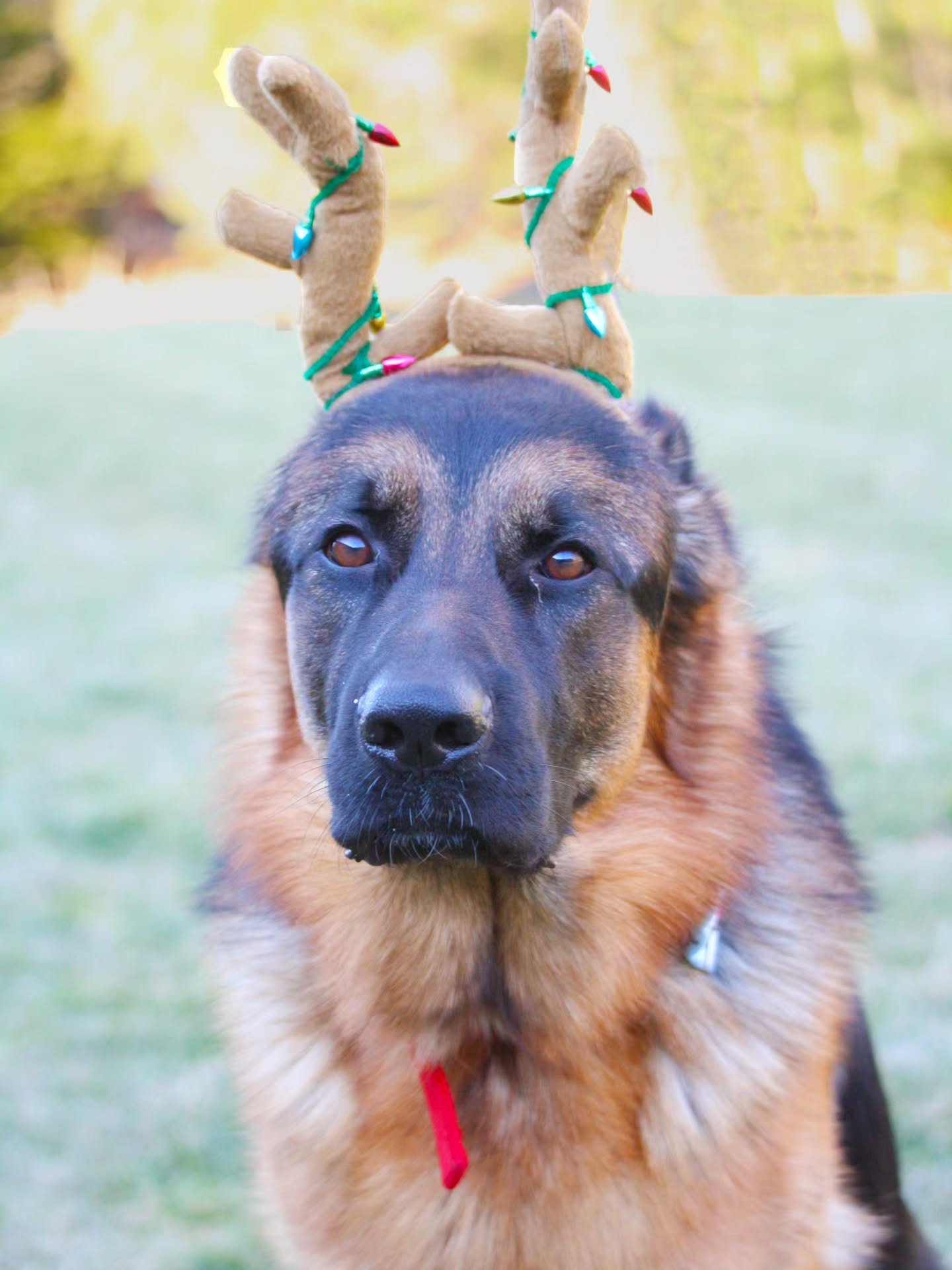 As the year is coming to a close, we would like to take a moment to thank you for being here. 🙏Your love and support mean a lot to us, and we wouldn't have been here without you. You have allowed us to do what we love everyday, and I'm forever grate