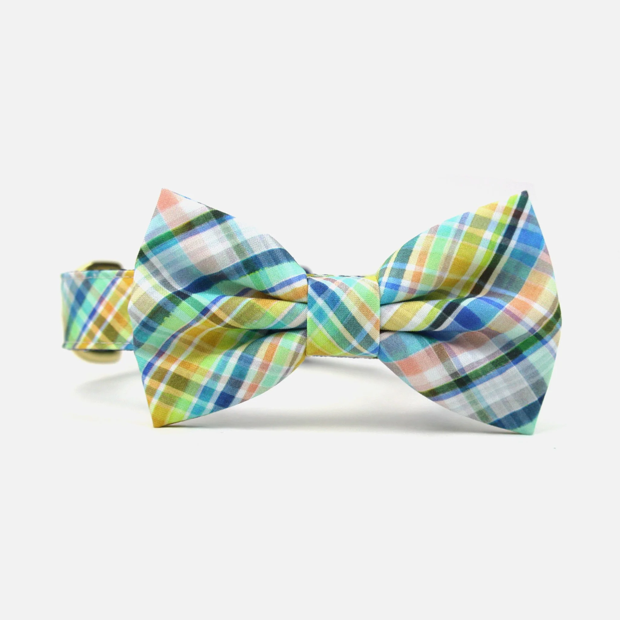 plaidbtc-1.jpg