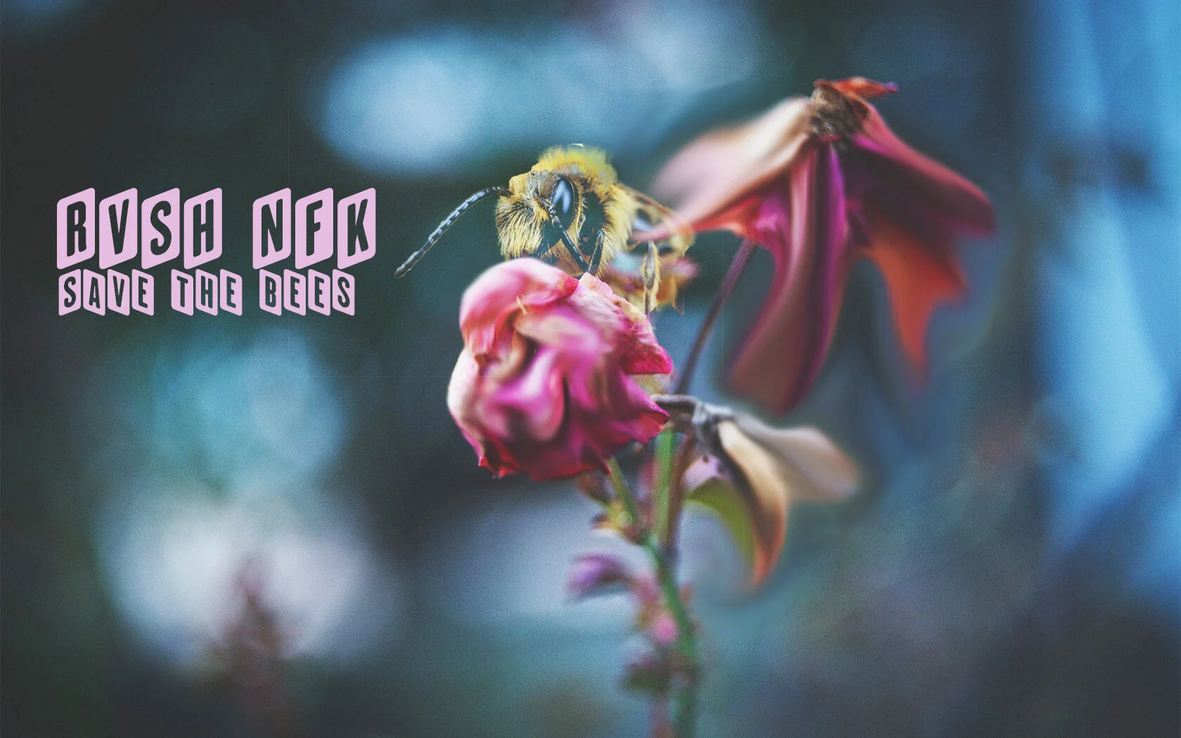 Save The Bees (Sticker) .jpg