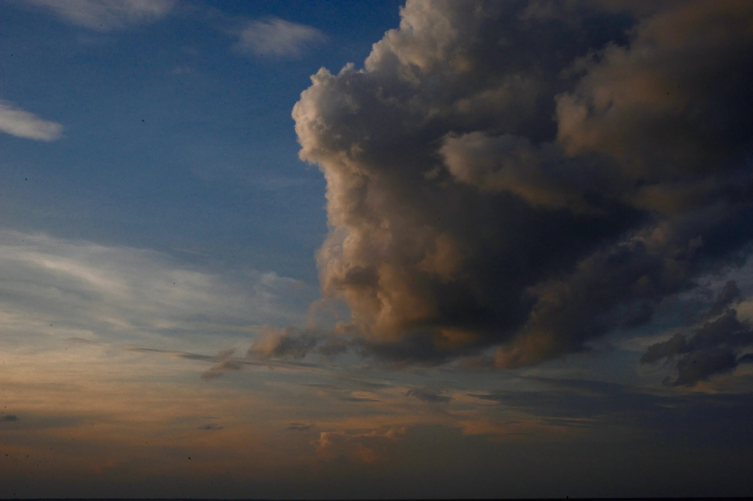 “DEMONS “ Graphic