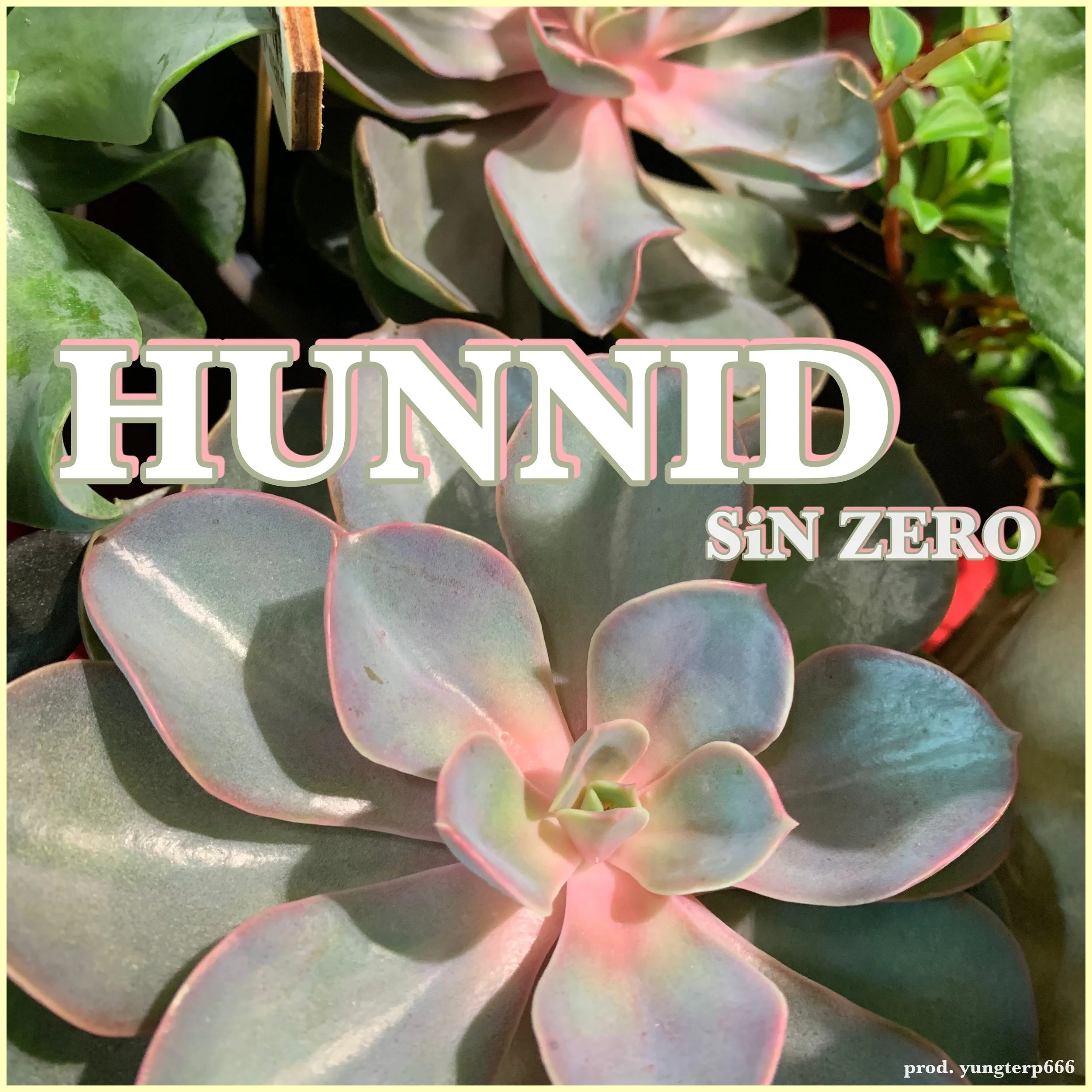HUNNID cover.jpg