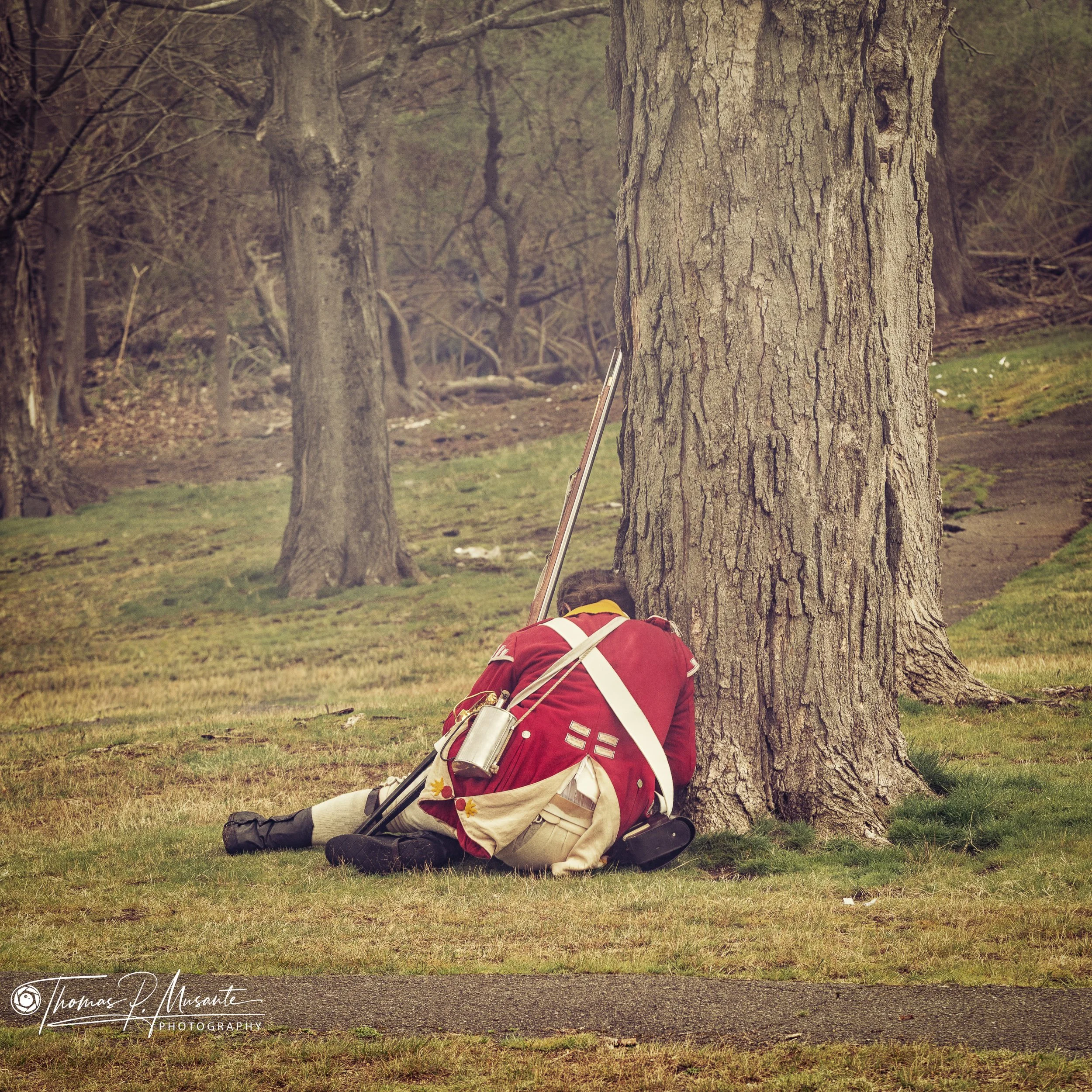 British regular lying fallen at the base of a tree, Lexington.