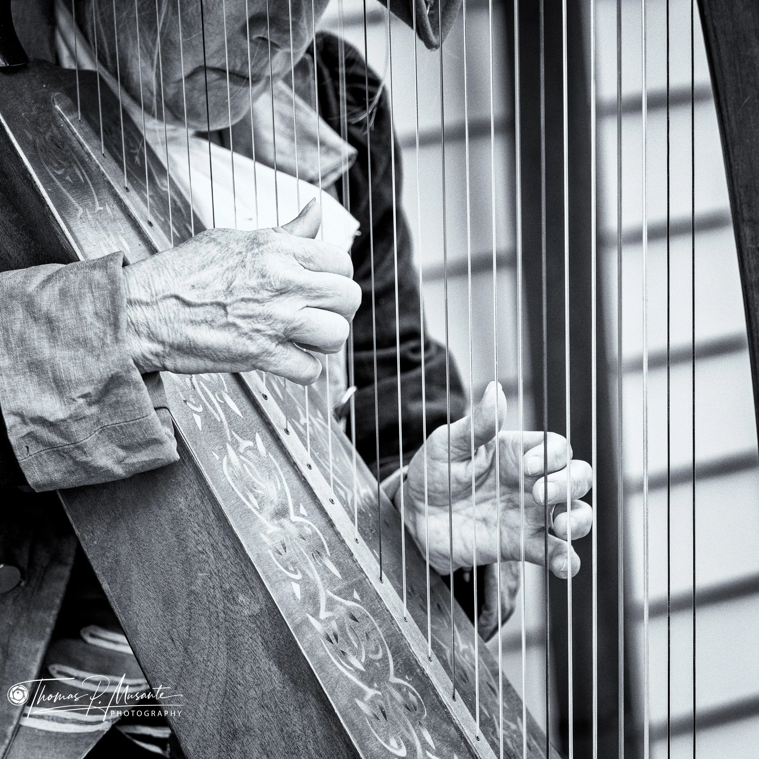 String Instrument 
