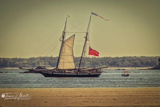 The Battle of Pell's Point (6 of 35).jpg