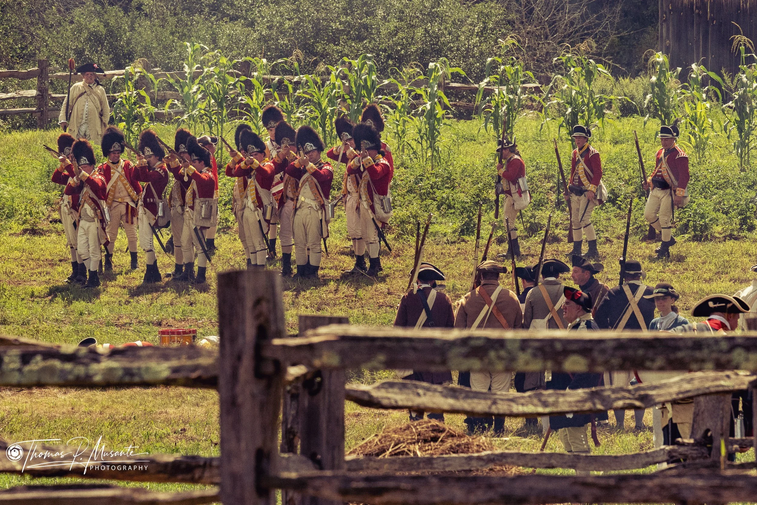 British Regulars Level Their Muskets at the Edge of the Corn