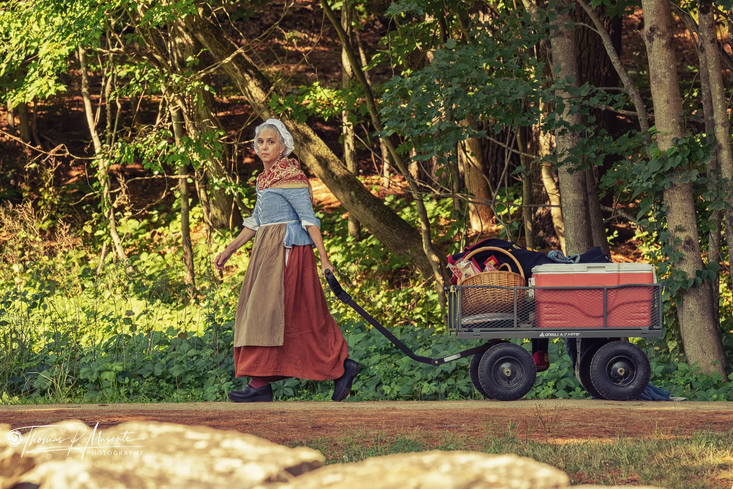 A Modern Garden Cart of Camp Gear for the Eighteenth-Century Camp