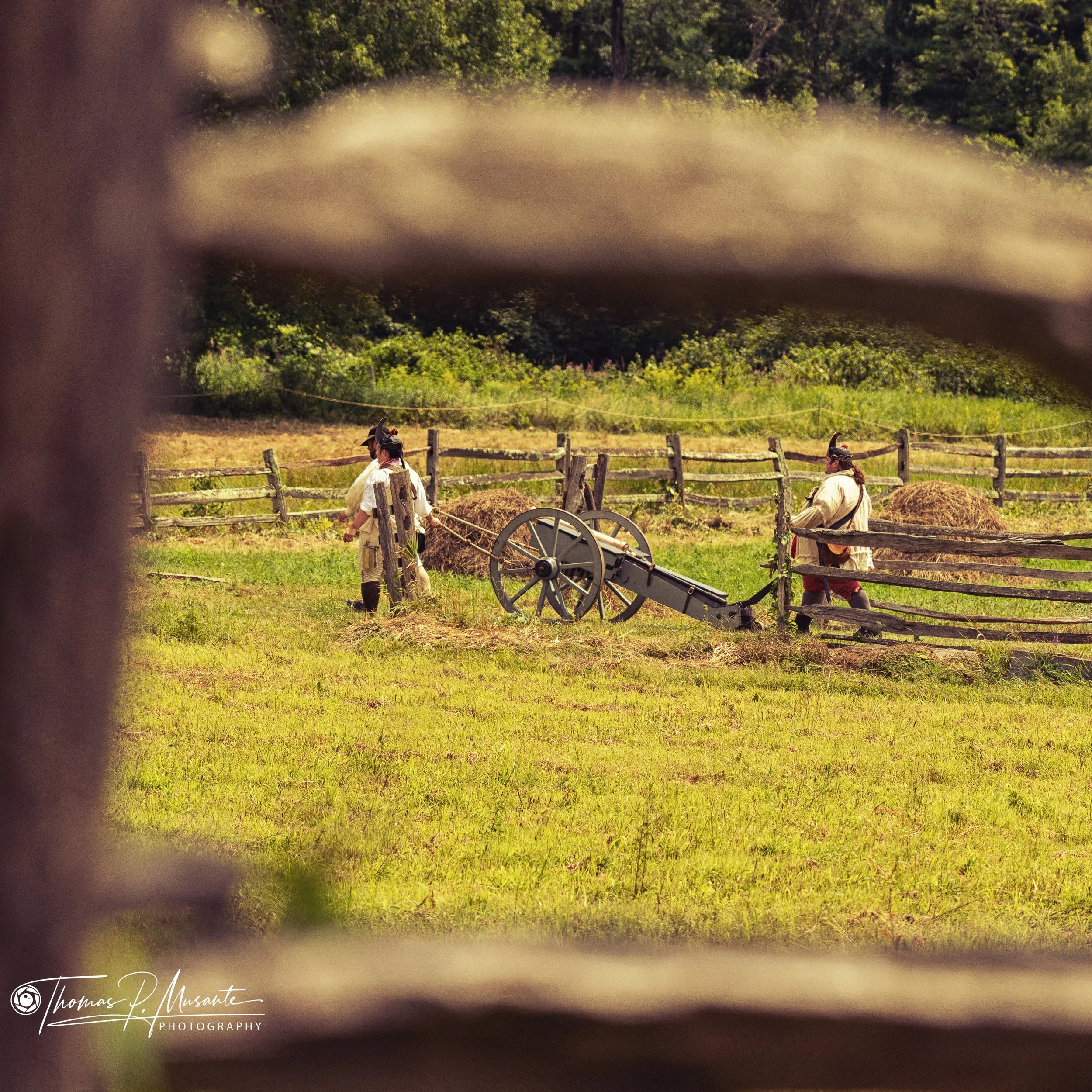 The Gun in the Hayfield