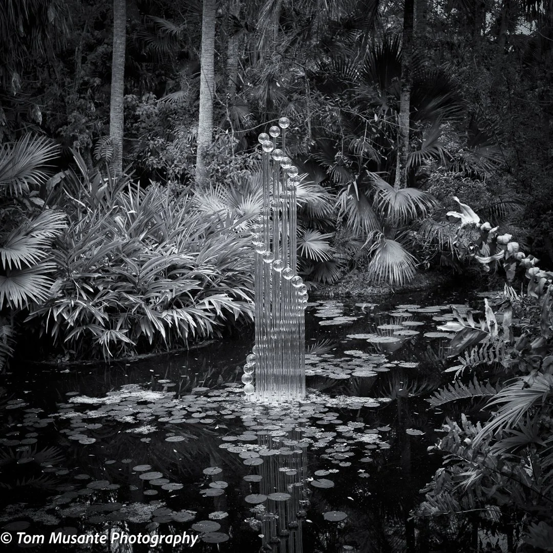 Street Photography (9 of 10).jpg