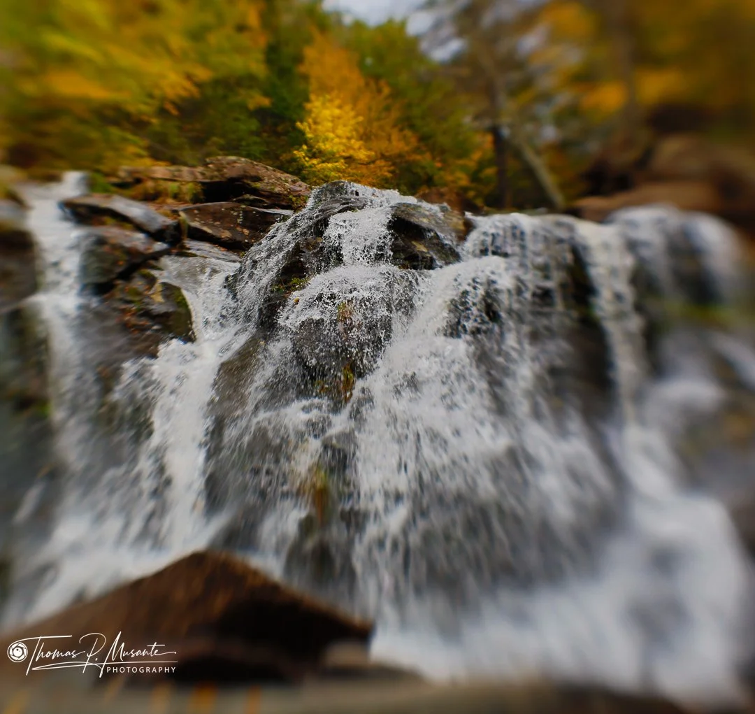 Web_WaterFalls-10.jpg