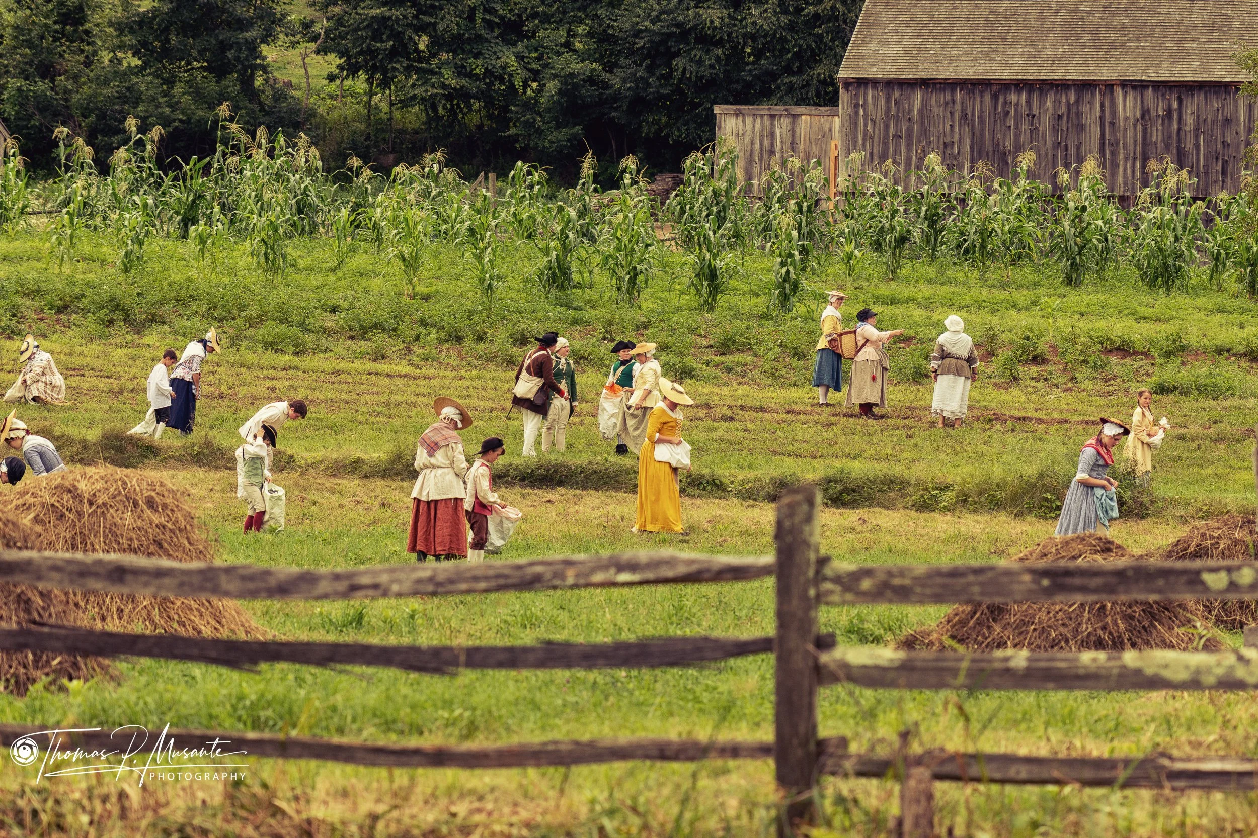 Women and Children Foraging