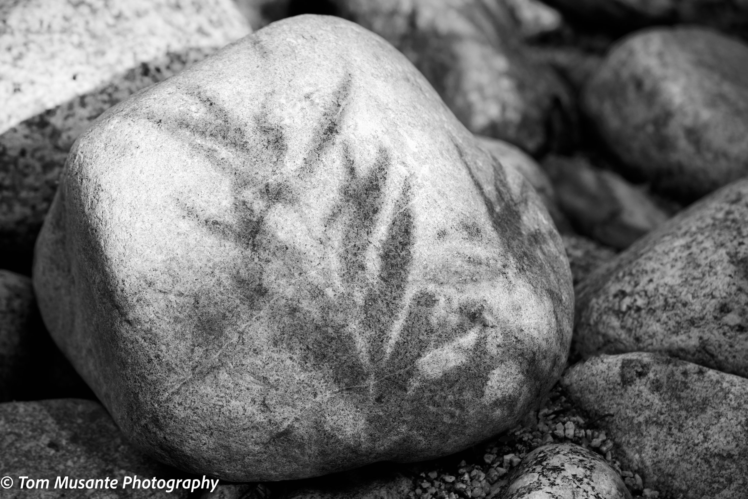 Shadows - White Mountains