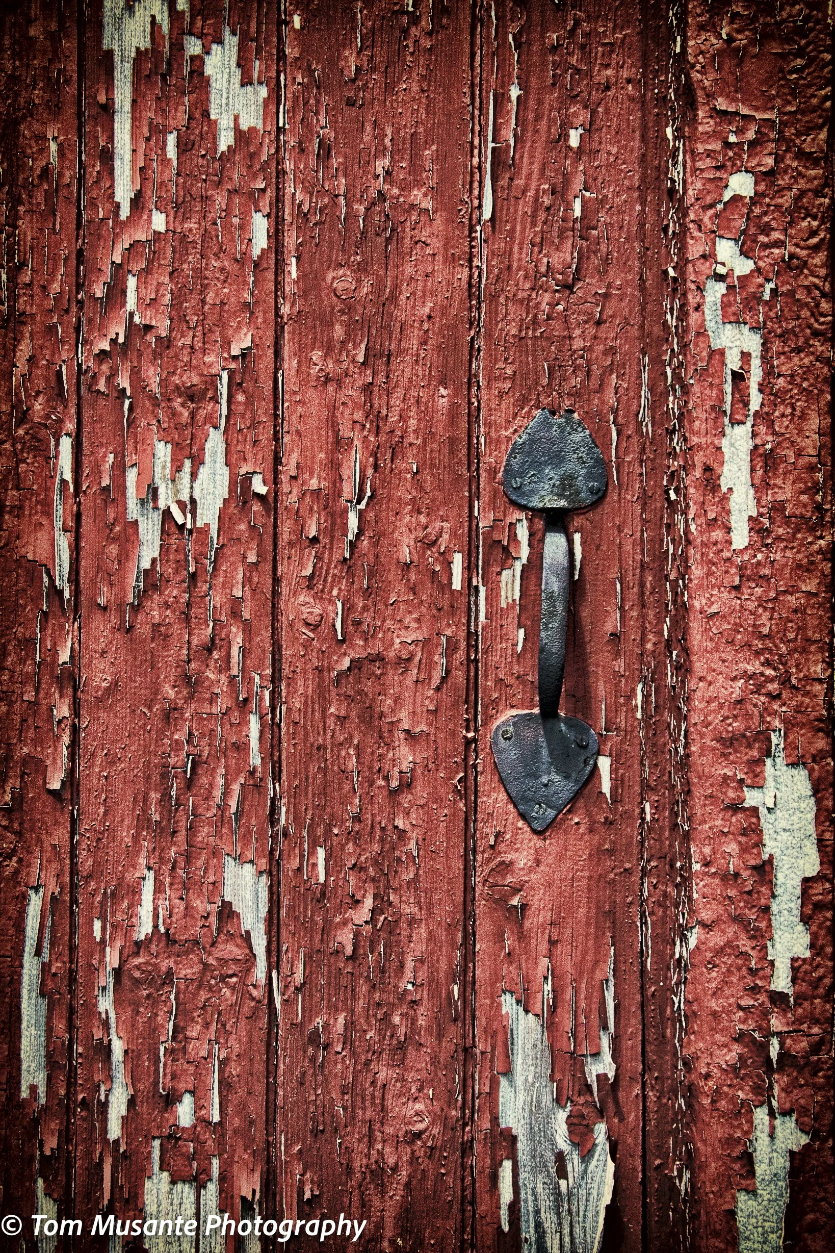 The Red Door
