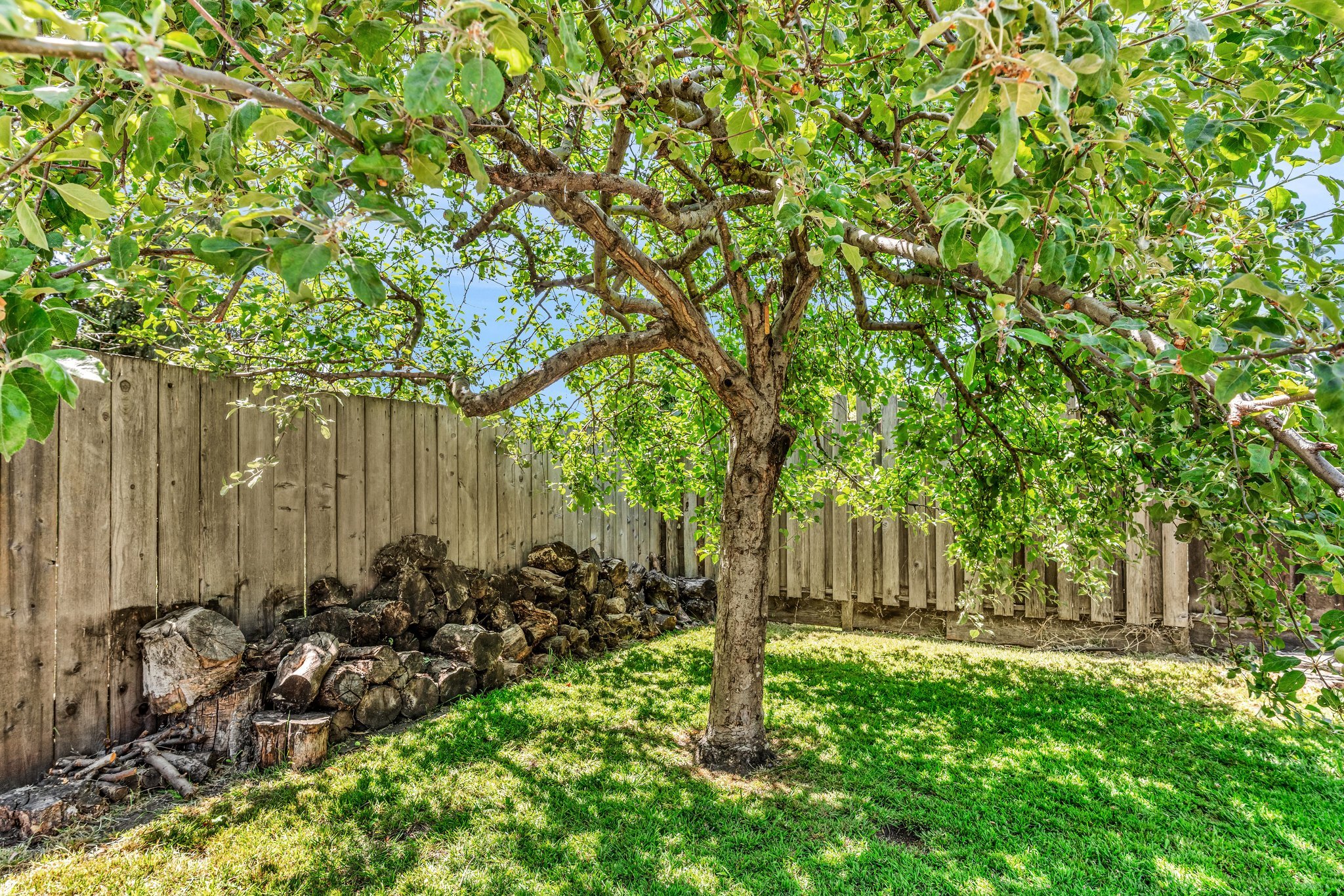 17359 Esteban St, Hayward, CA 94541