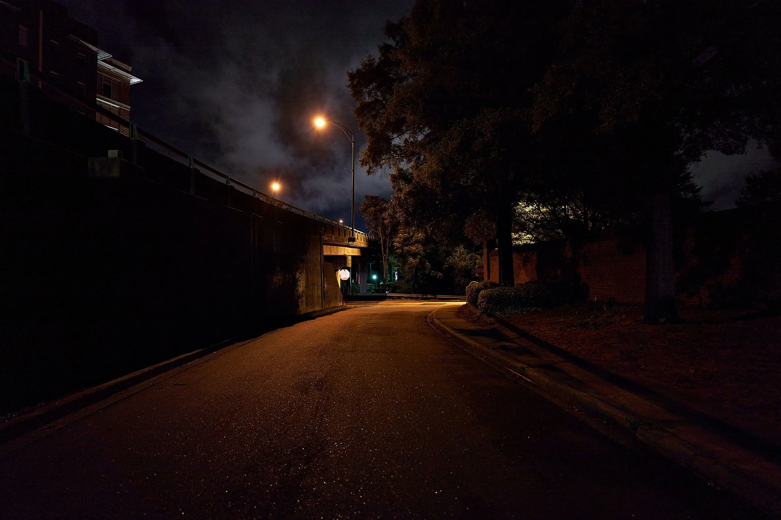 processed__DSC3059_edited (loDef).jpeg