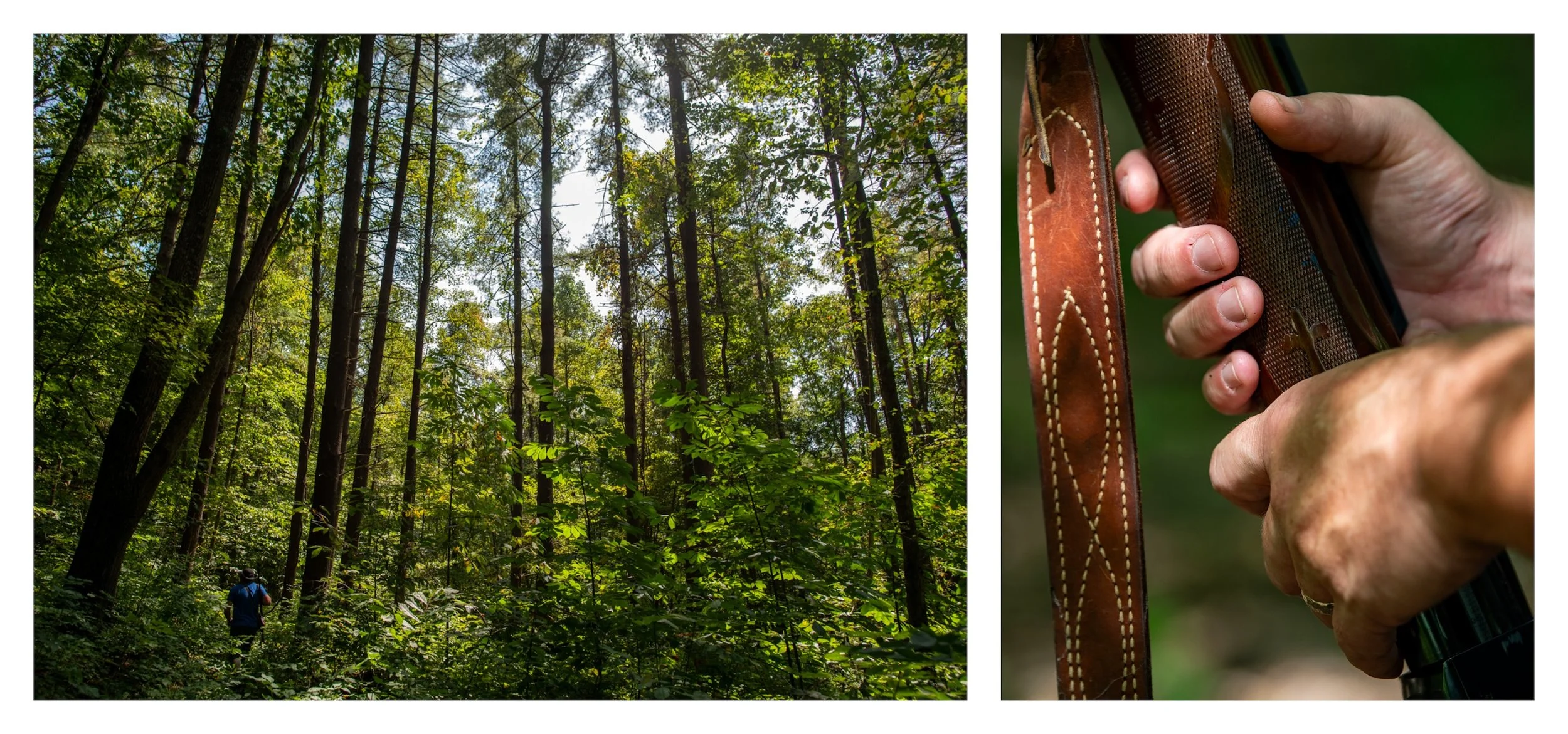  Chris Riddle hunts small game in rural Athens County, Ohio, on Sept. 10, 2019. Small game hunting, once a tradition borne out of necessity in Appalachia, is now kept alive by people like Riddle. I spent an afternoon with him as he hunted squirrel ne