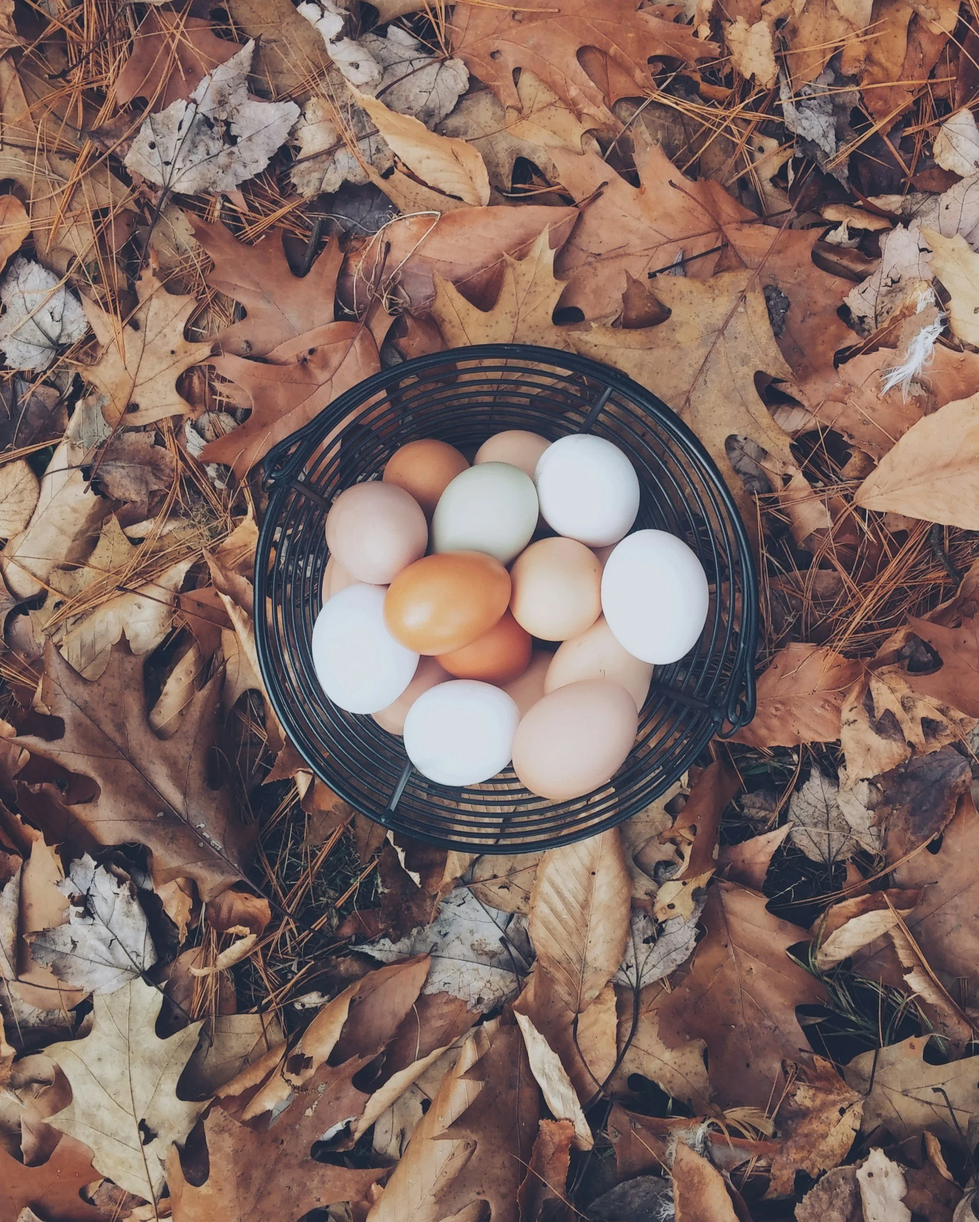 unsplash-image-YLyxXawZm4w.jpg