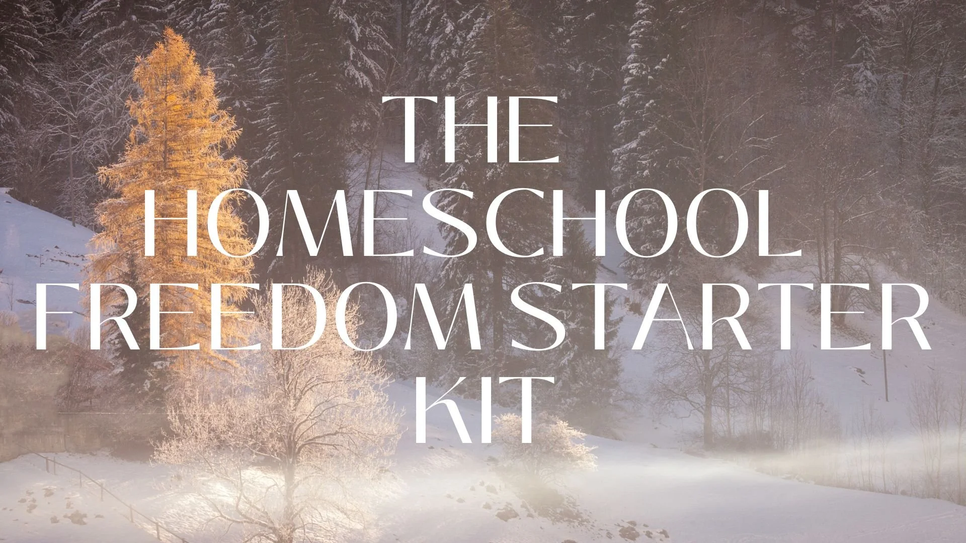 The Homeschool Freedom Starter Kit