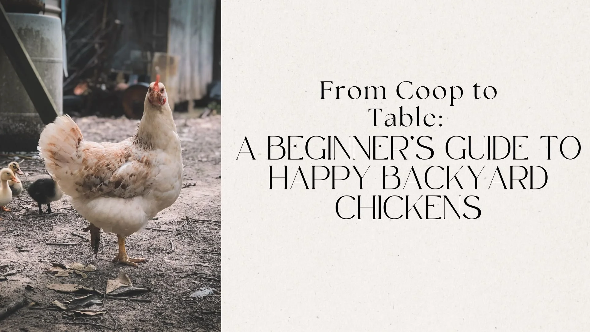 From Coop to Table