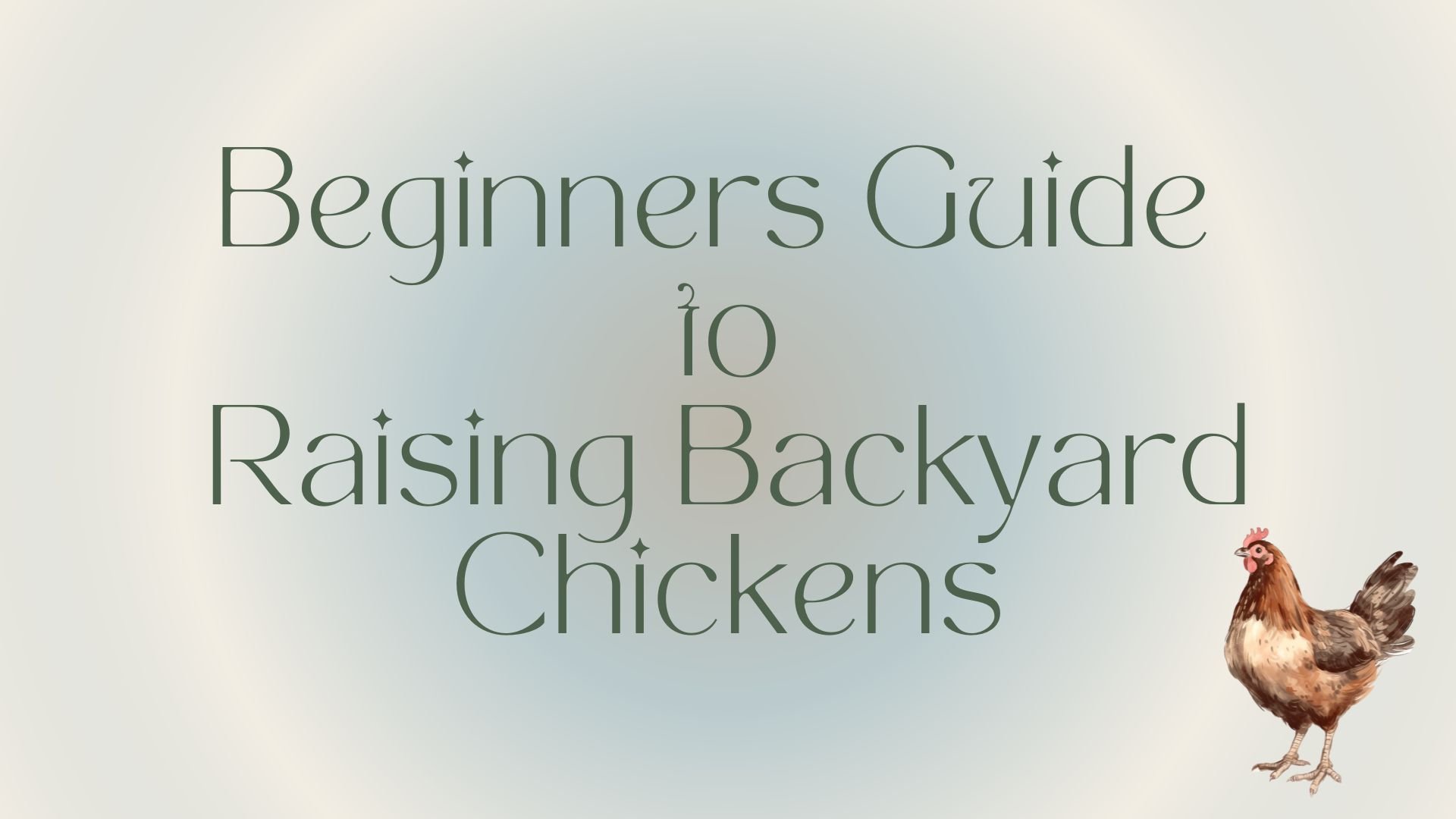 Beginners Guide to Raising Backyard Chickens