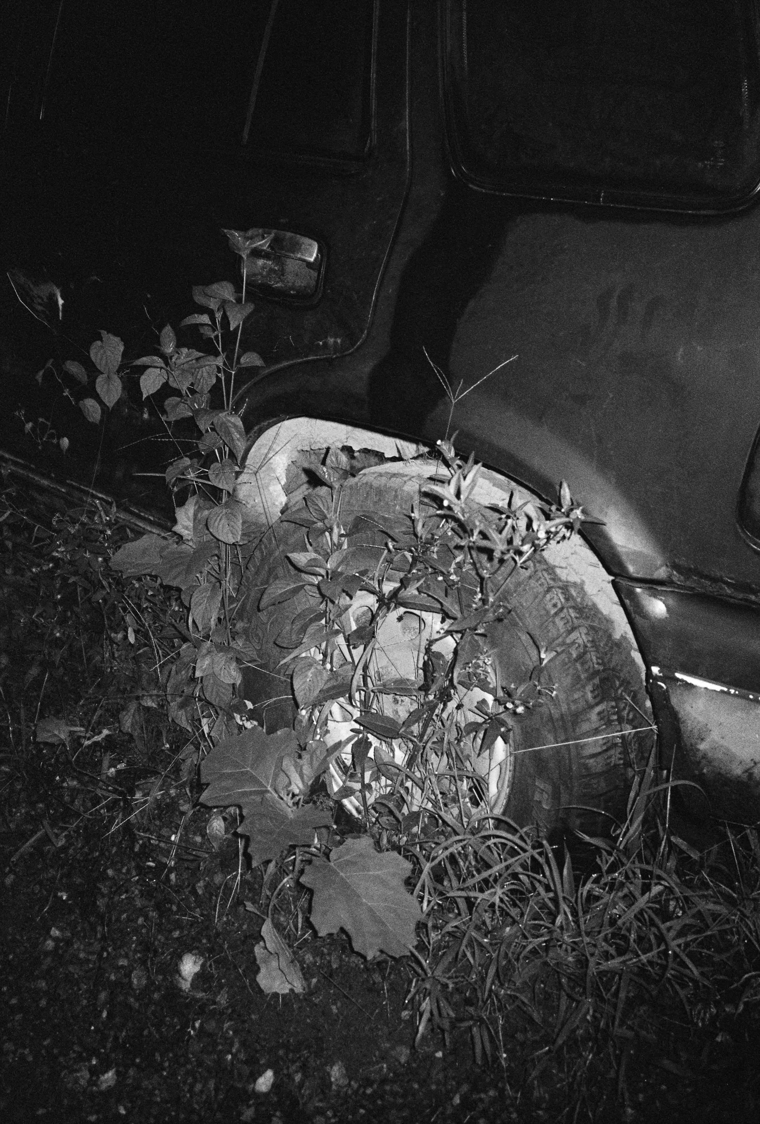 CA_35_B&W-35.JPG