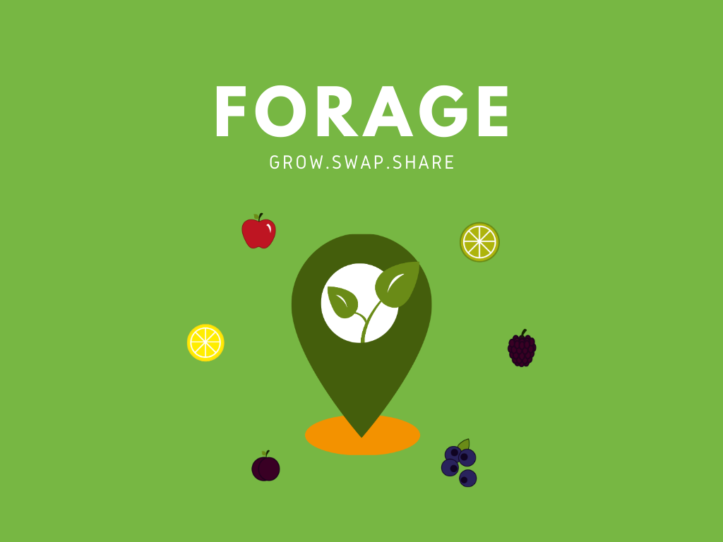 Rewilding melbourne.png