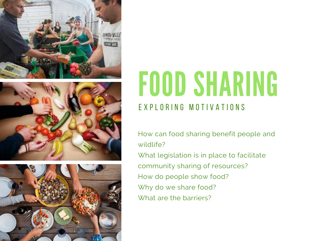 by Aiyana AcevedoTaxa2.png