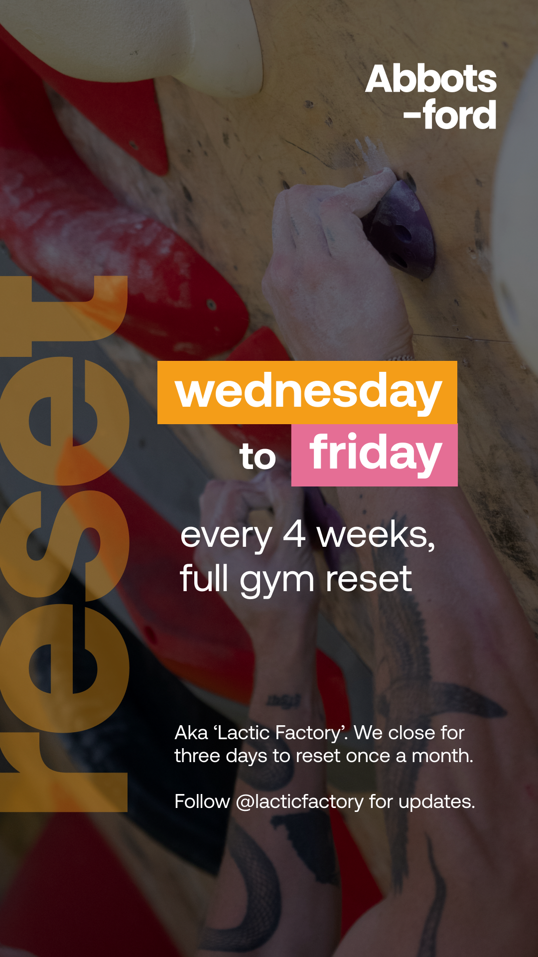 Lactic_setting sched.png