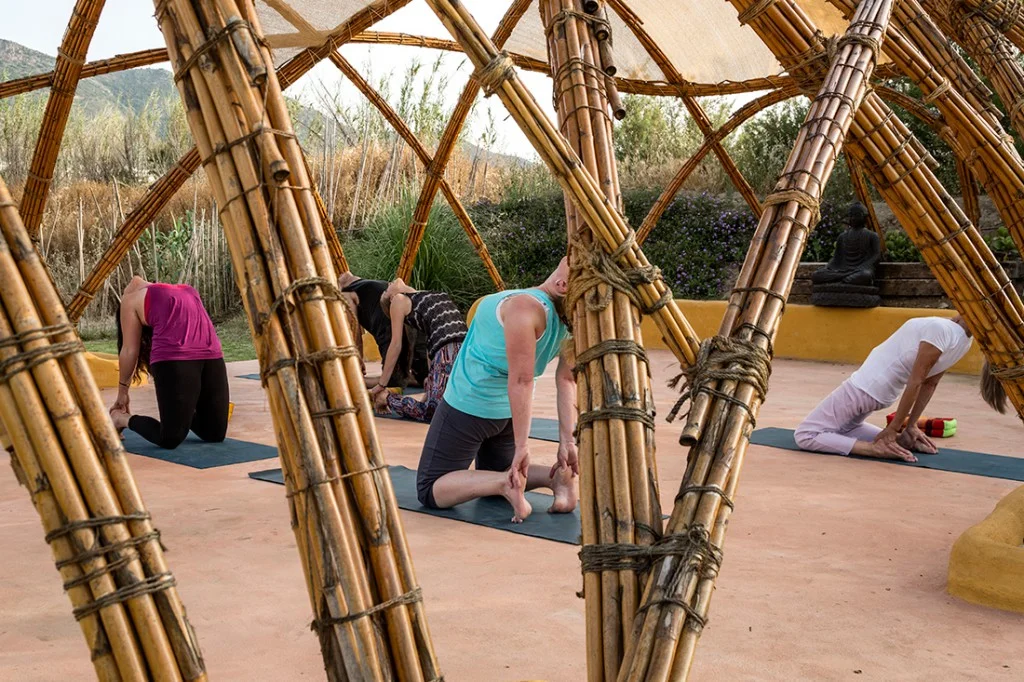 YOGA-AlLimon_034-1024x682.jpg