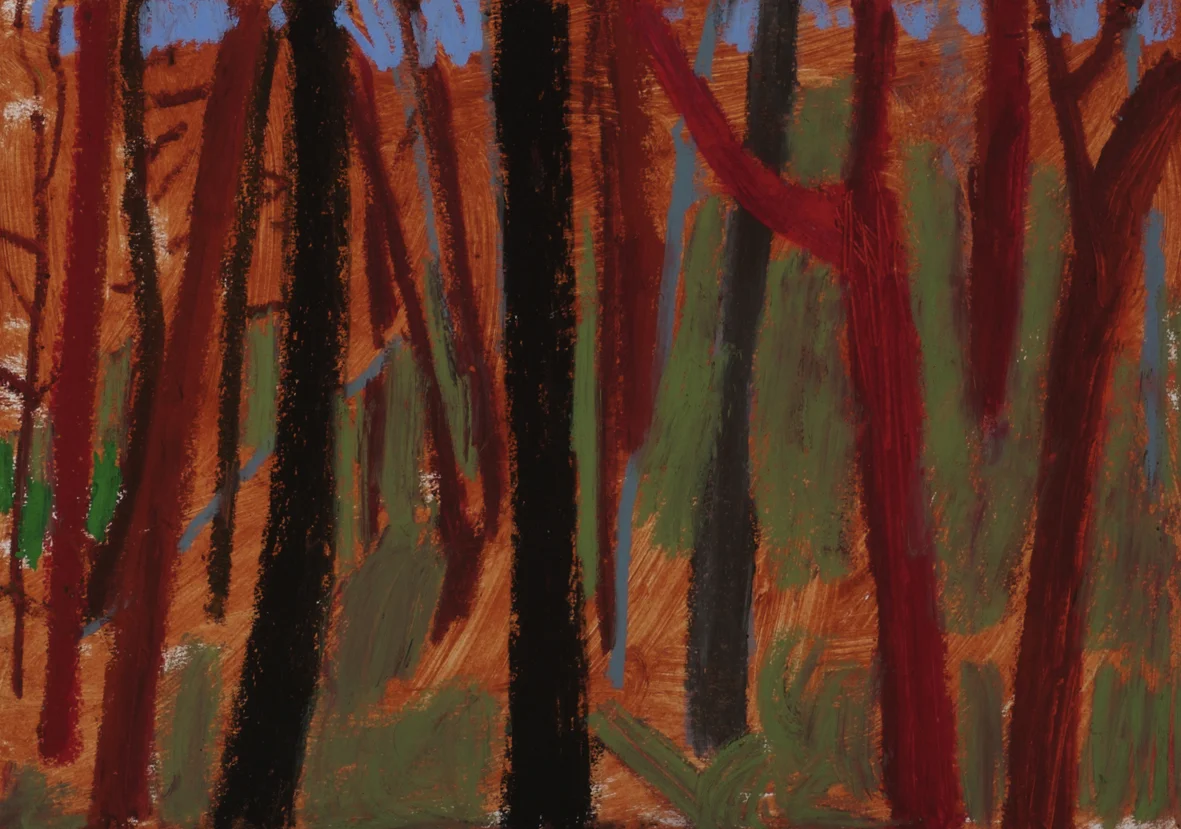 In the Bush, Helensburgh 08..jpg