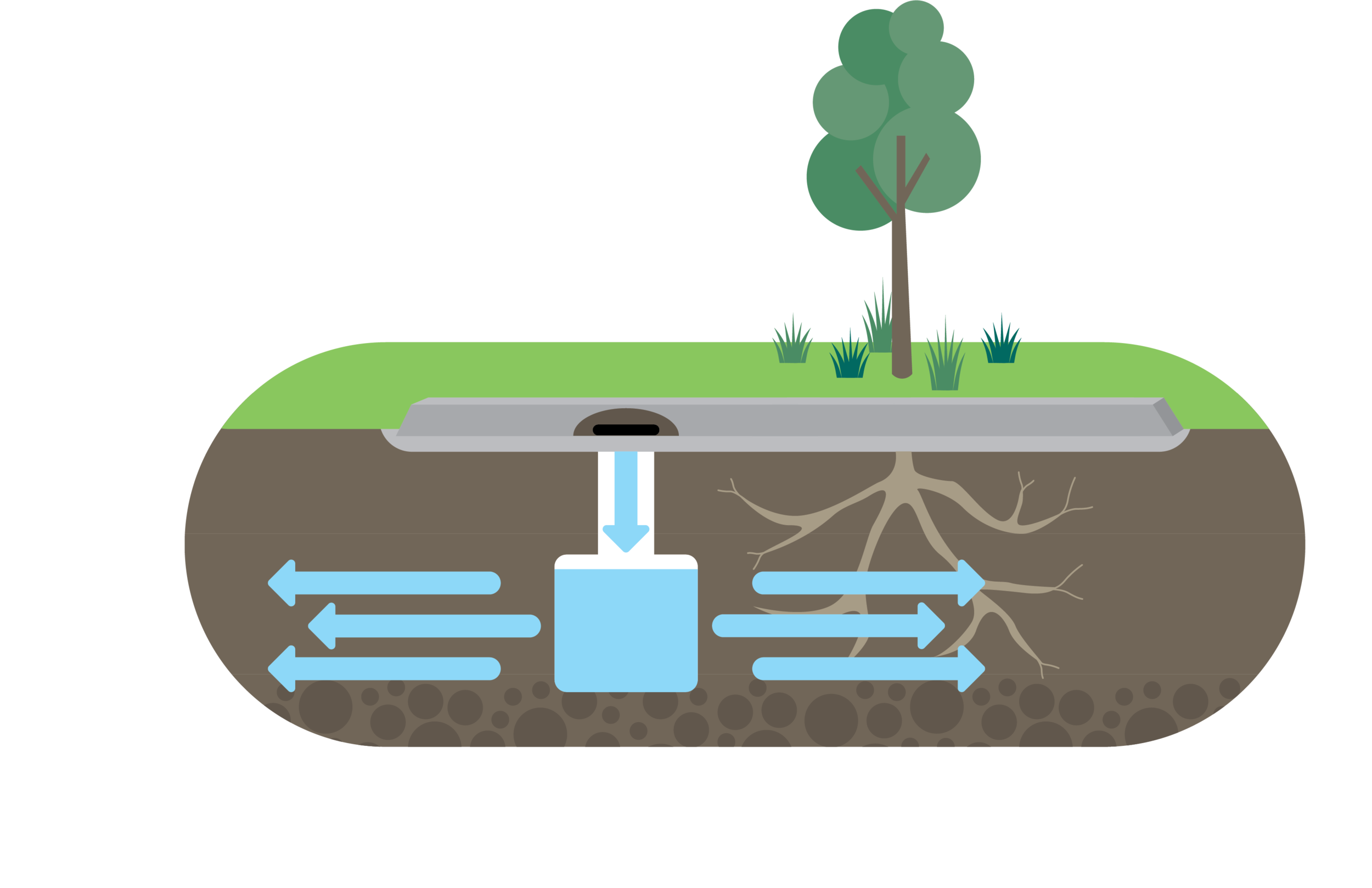 Water Sensitive SAClaremont Avenue TREENET inlets, Urrbrae - Water  Sensitive SA