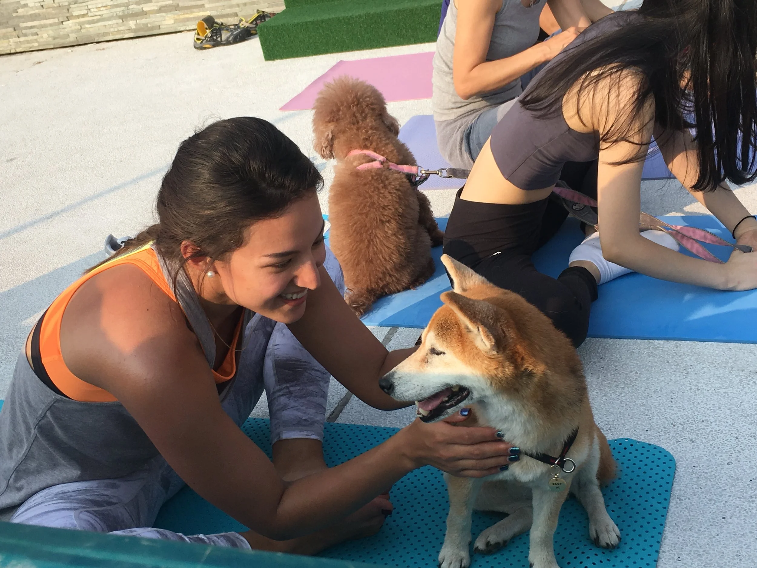 the pulse X LAP - YAPPY Easter 