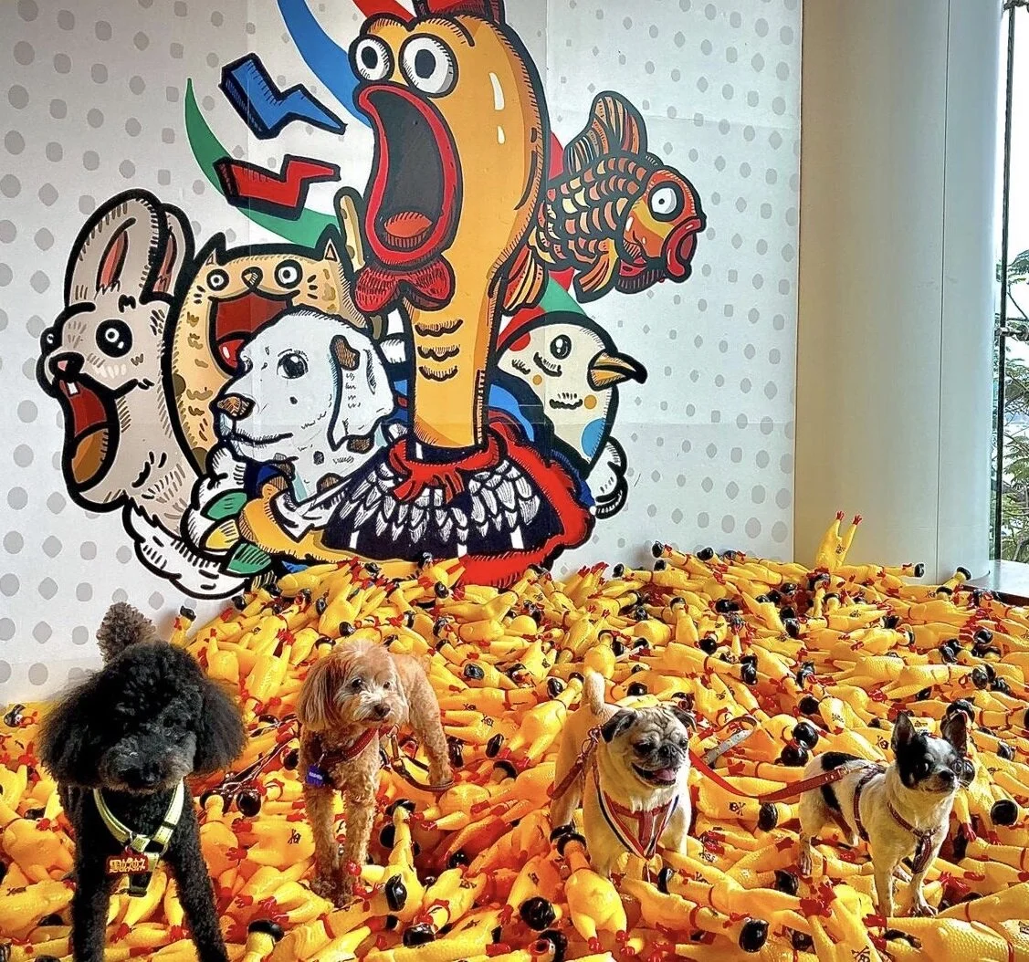 Scream It Out! Pet Carnival