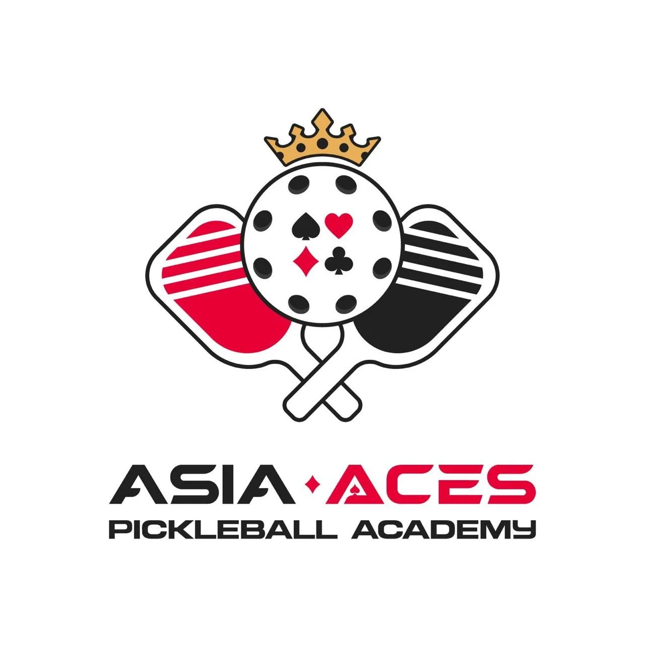 Asia Aces Pickleball Academy